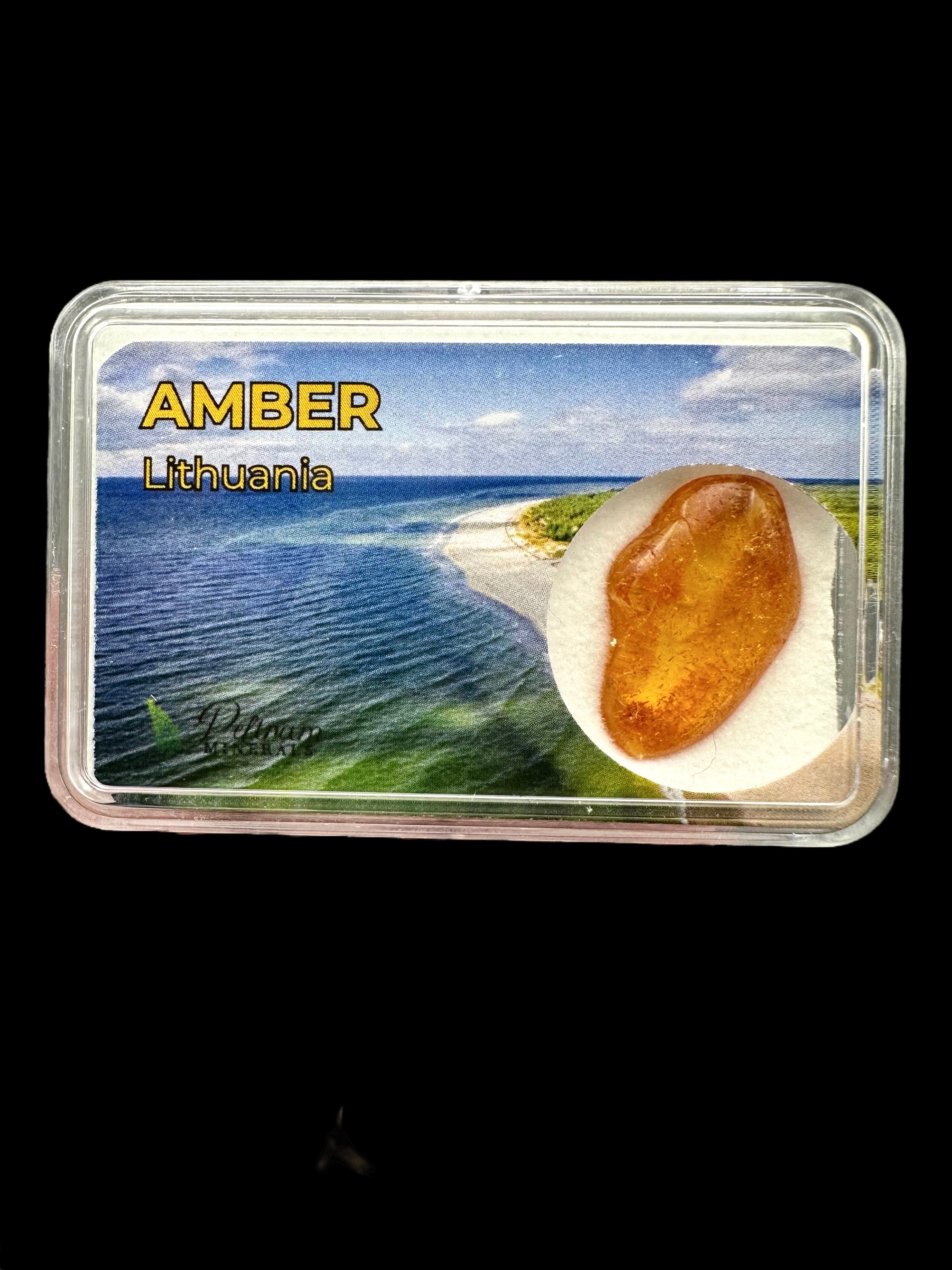 Amber in box – Lithuania