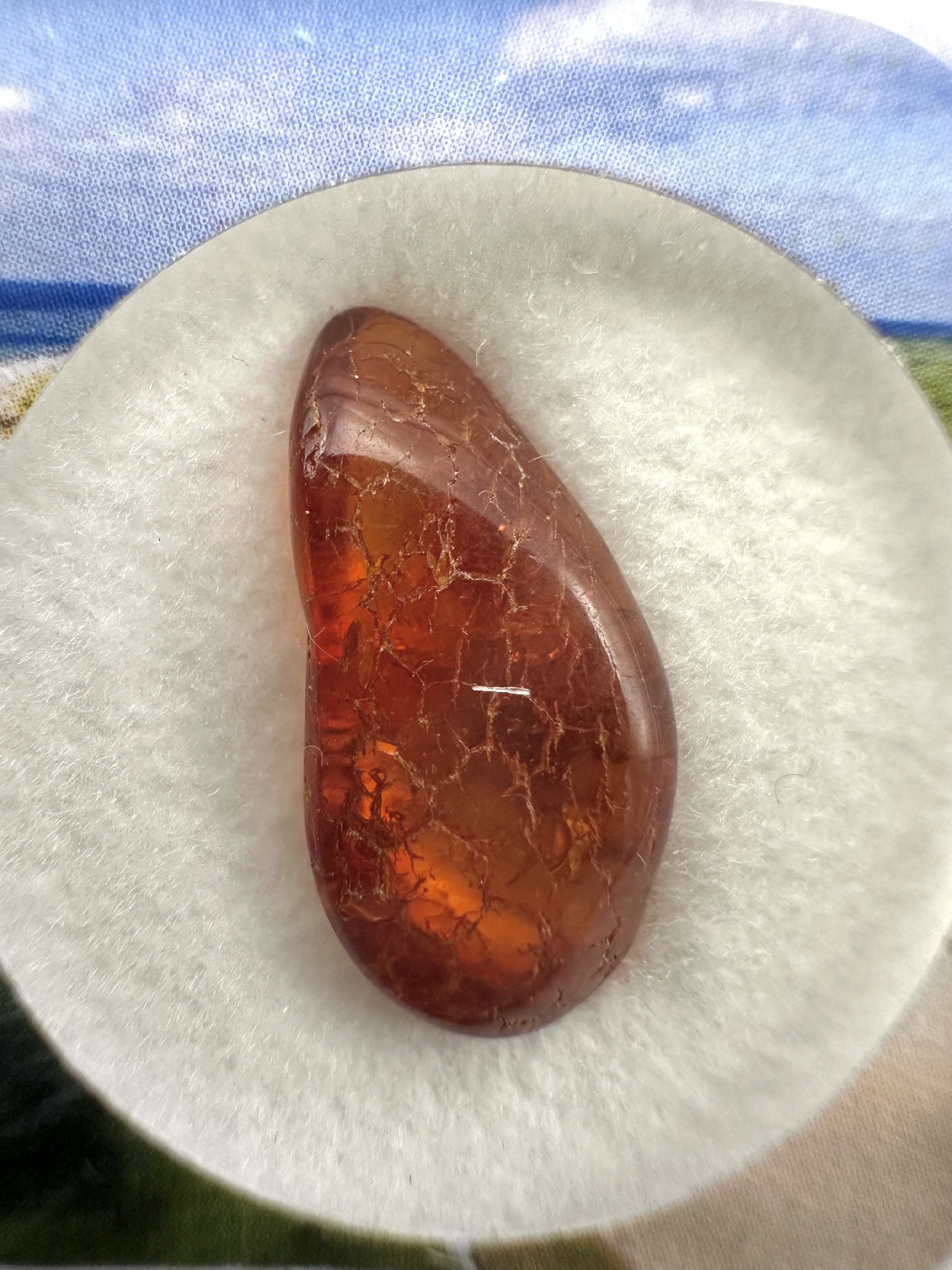 Amber in box – Lithuania - JN144