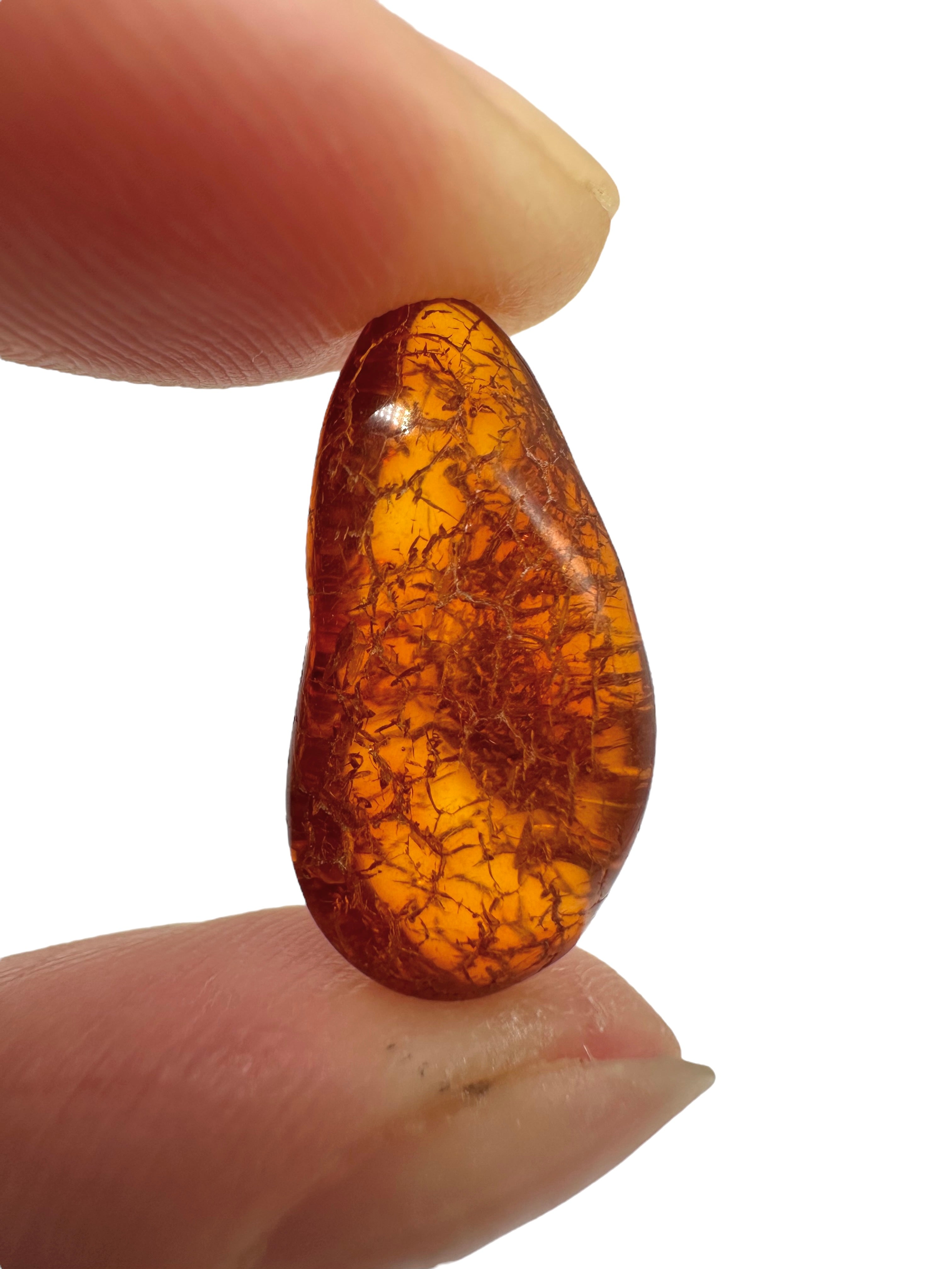 Amber in box – Lithuania - JN144