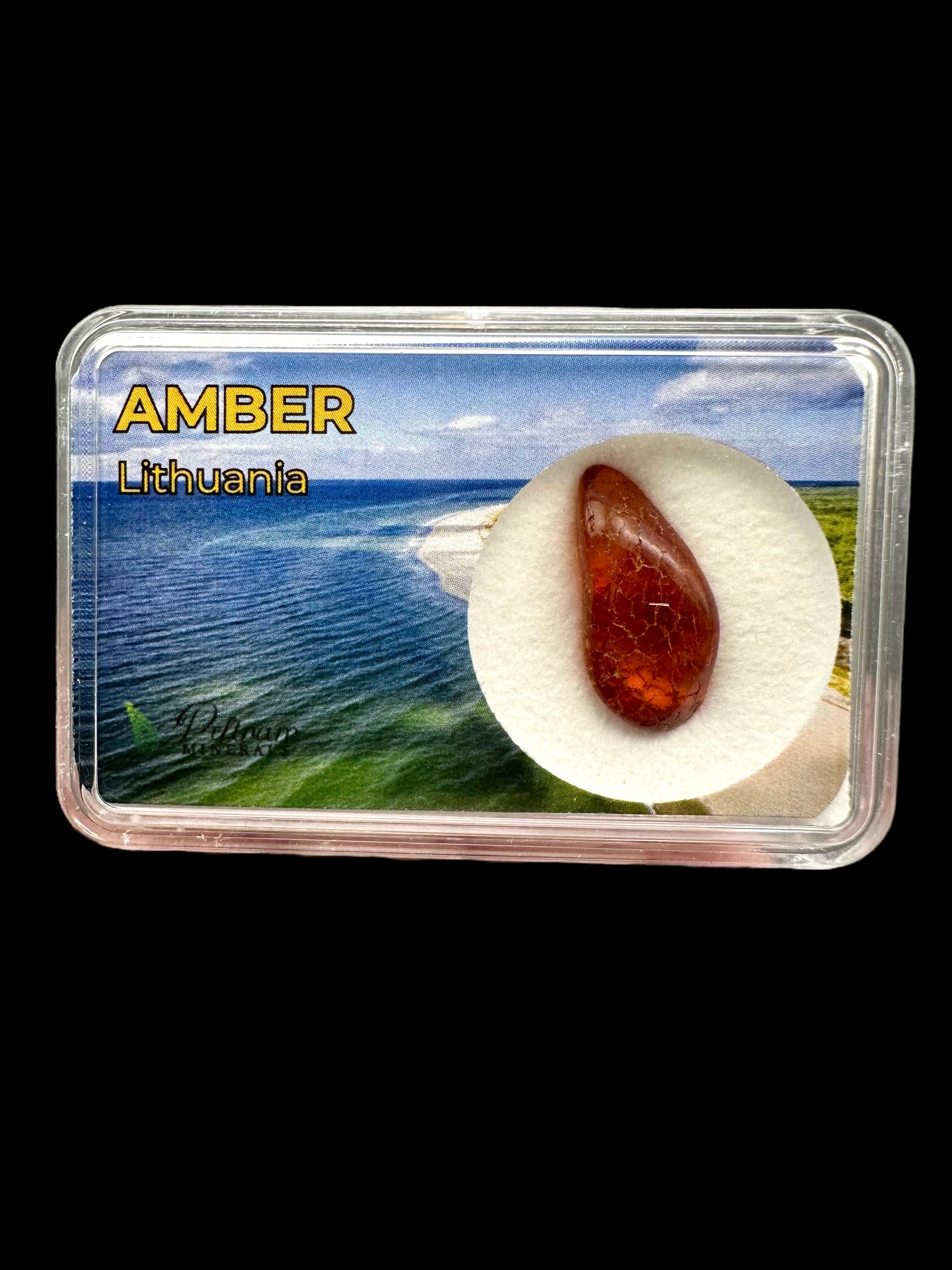 Amber in box – Lithuania