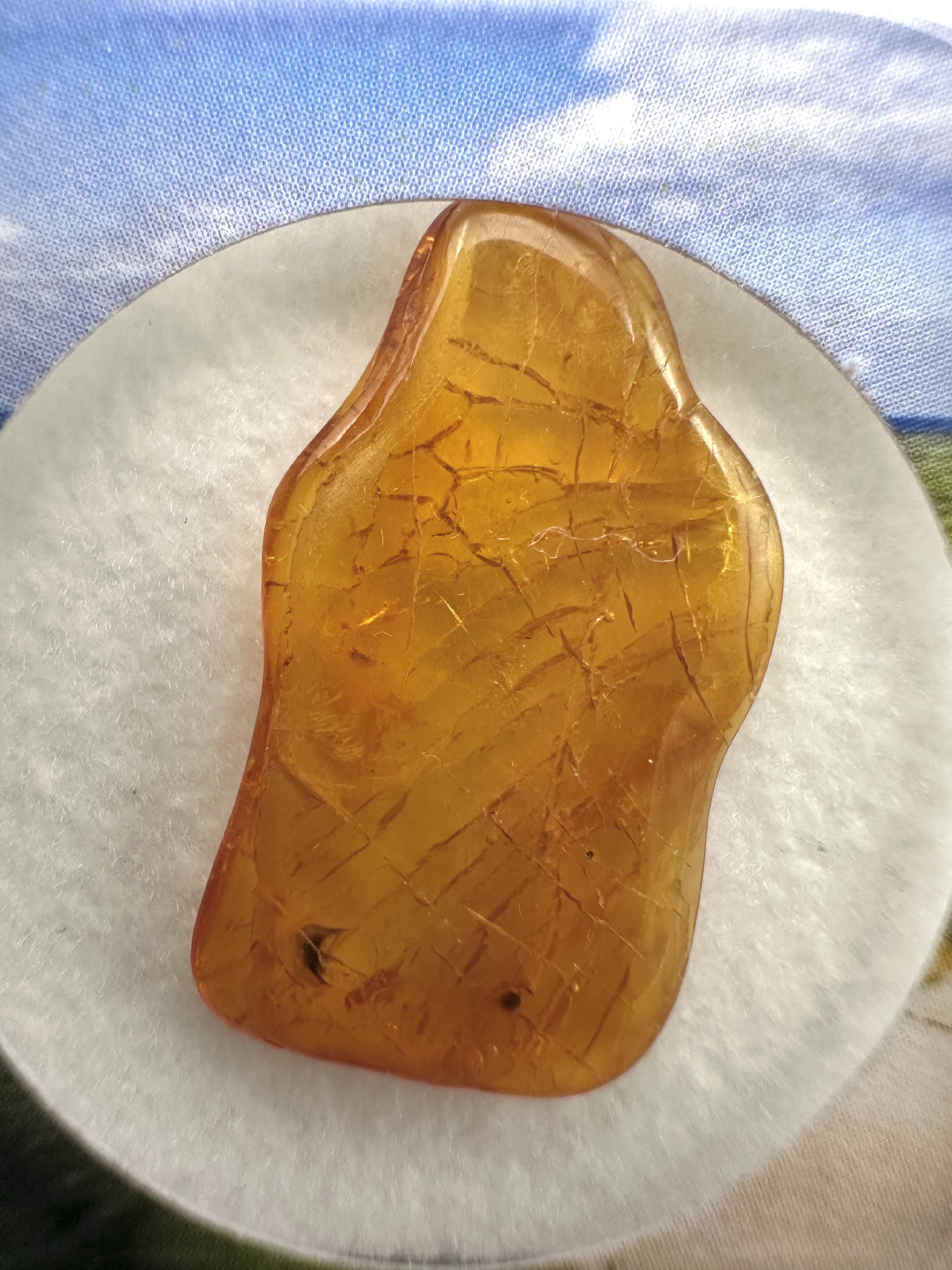 Amber in box – Lithuania - JN145