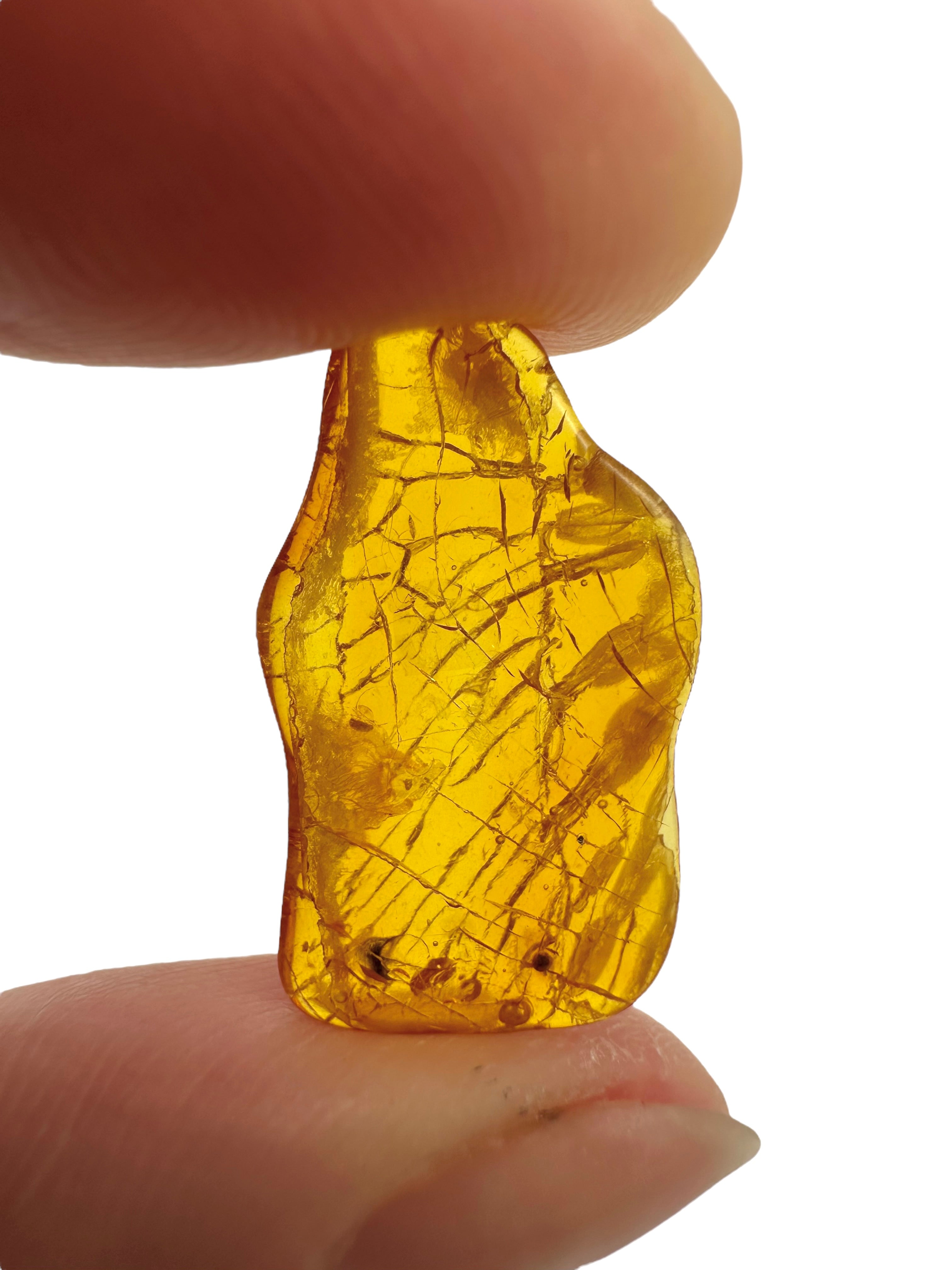 Amber in box – Lithuania - JN145