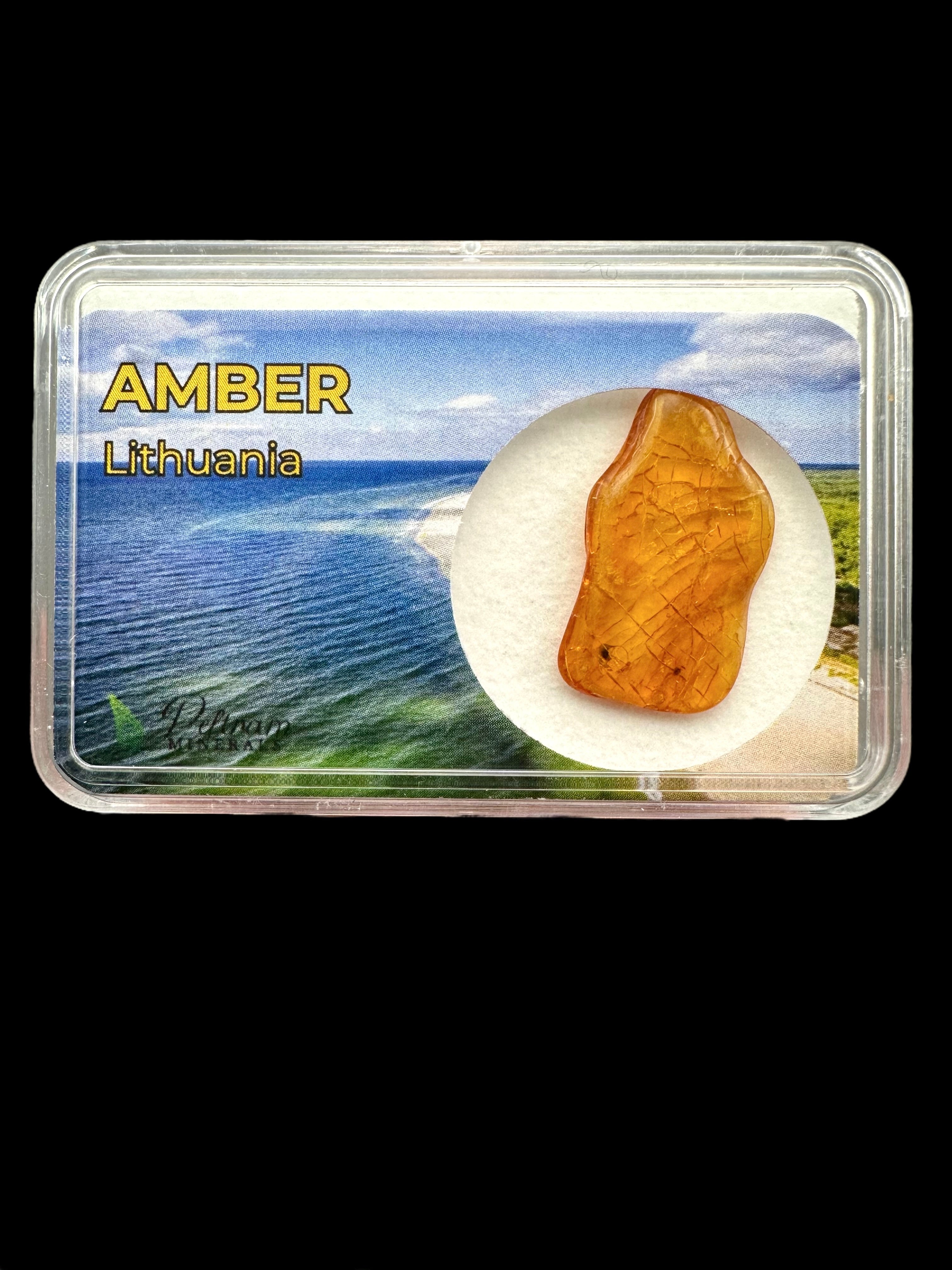 Amber in box – Lithuania