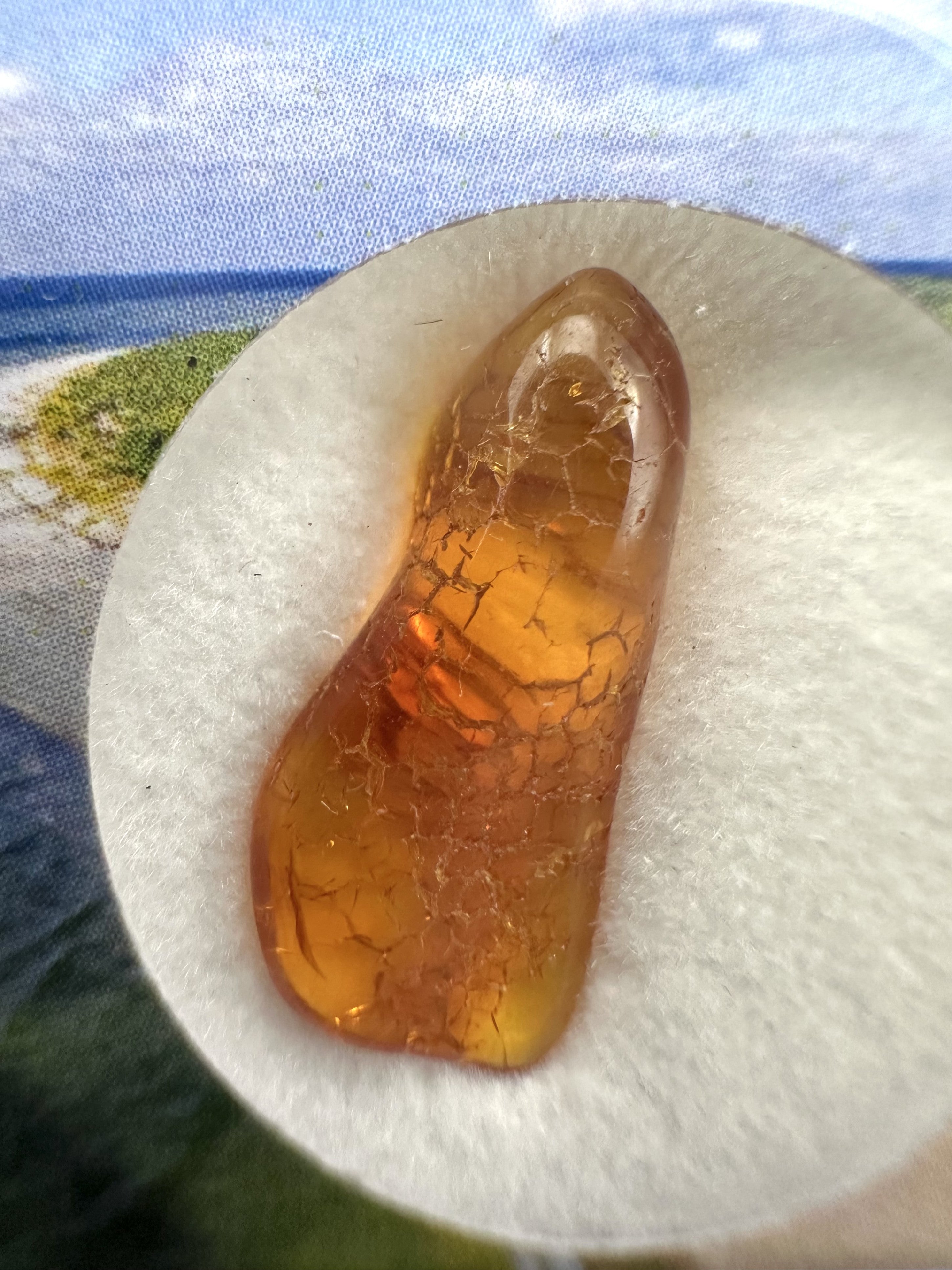 Amber in box – Lithuania - JN146