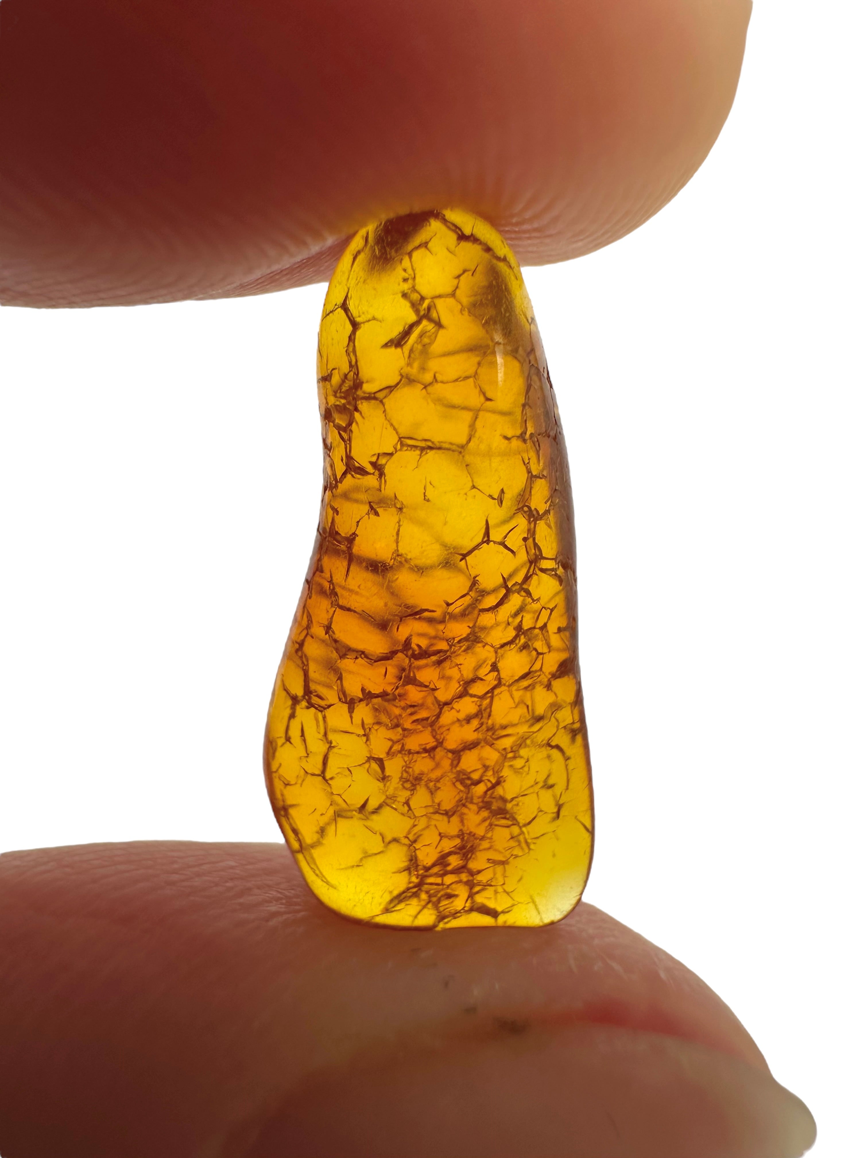 Amber in box – Lithuania - JN146