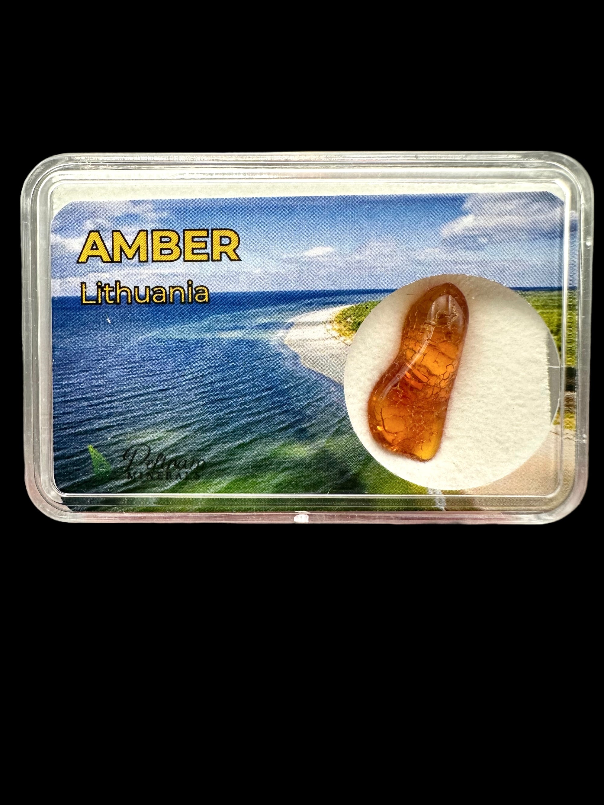 Amber in box – Lithuania