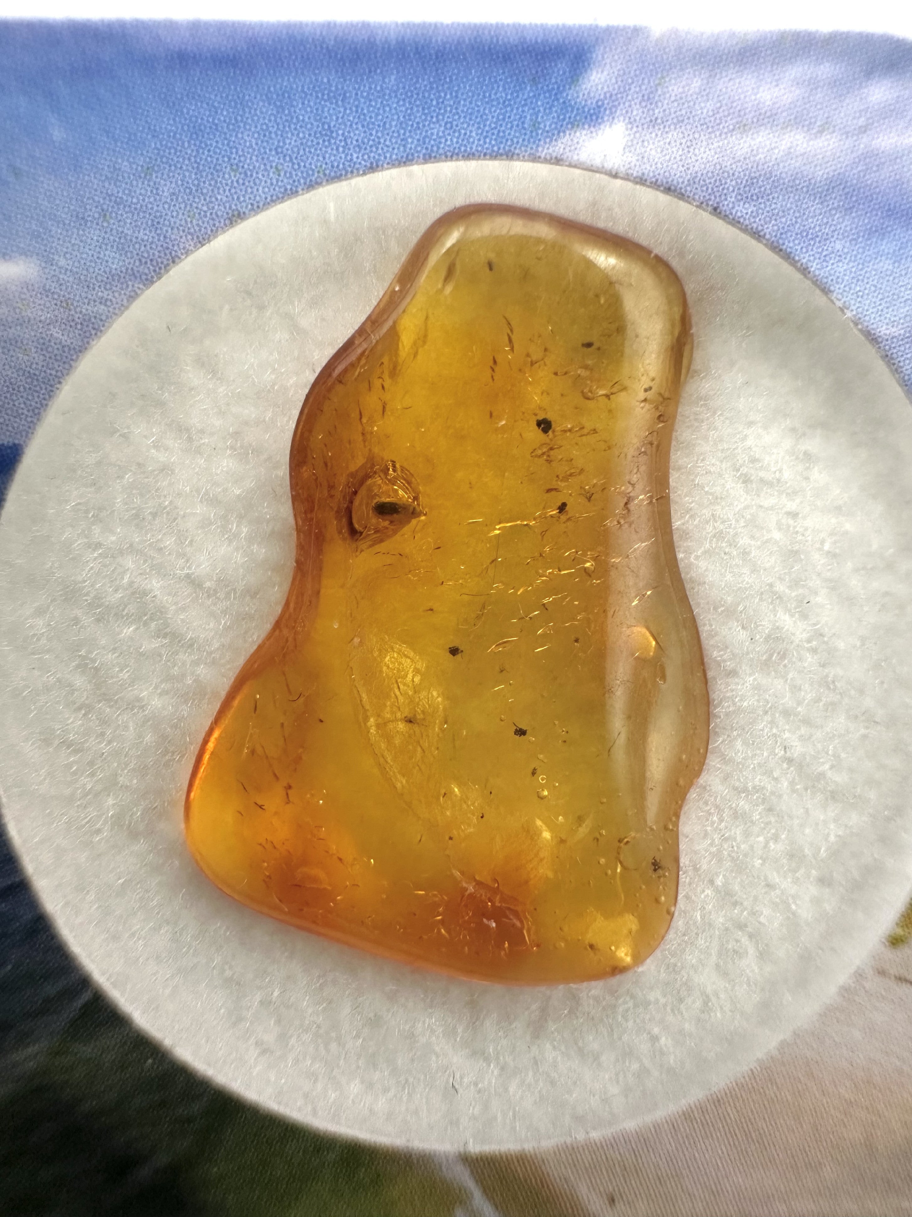 Amber in box – Lithuania - JN147