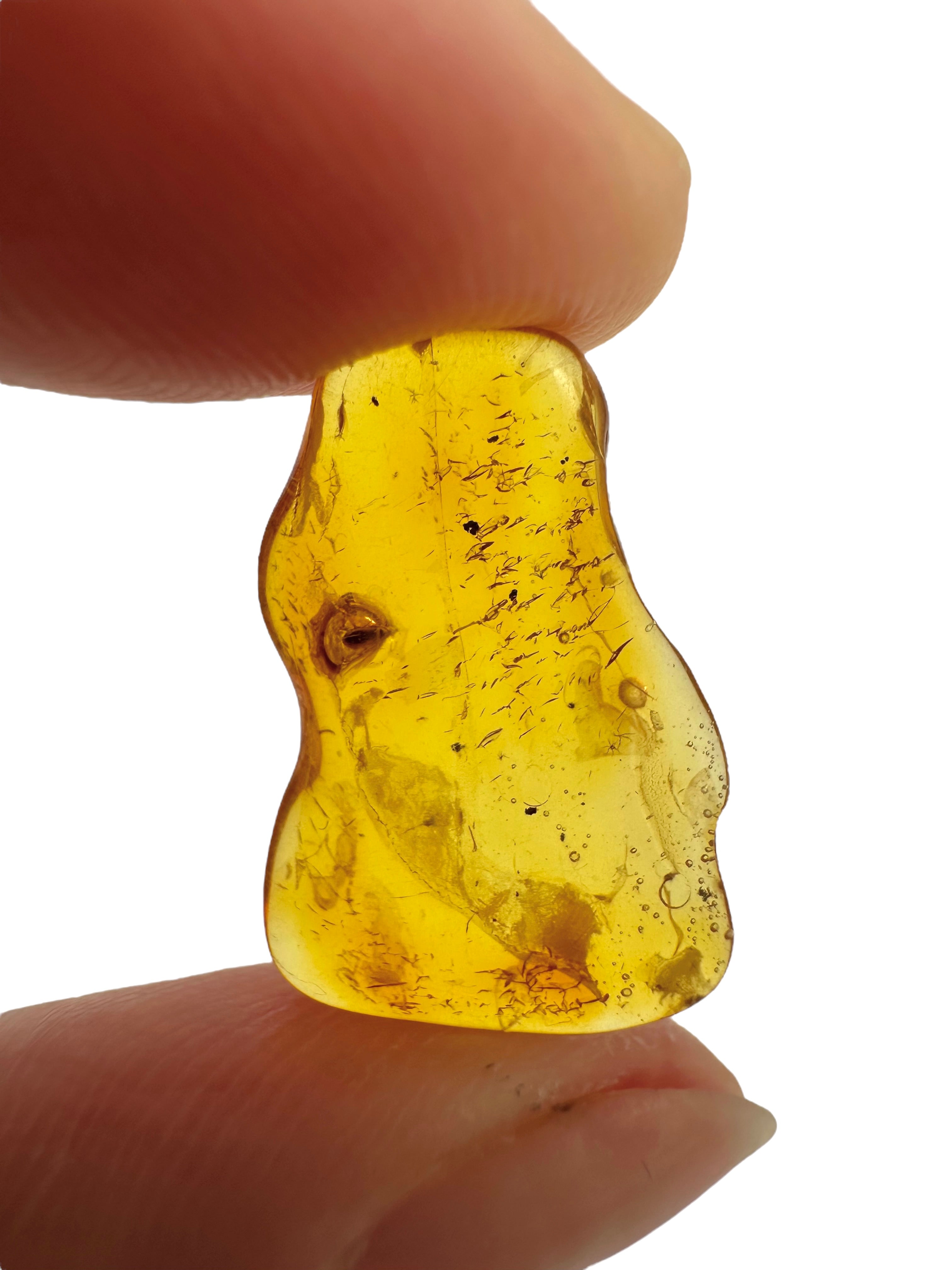Amber in box – Lithuania - JN147
