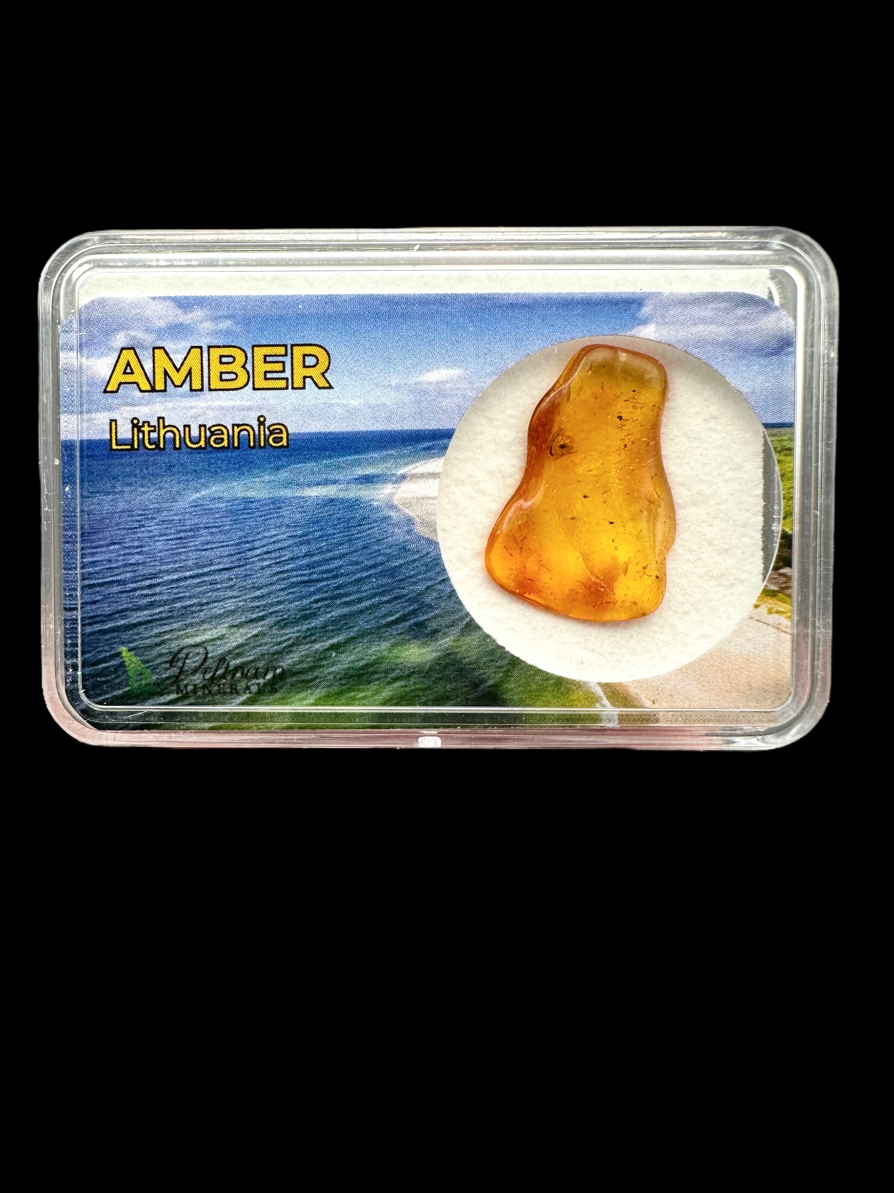 Amber in box – Lithuania