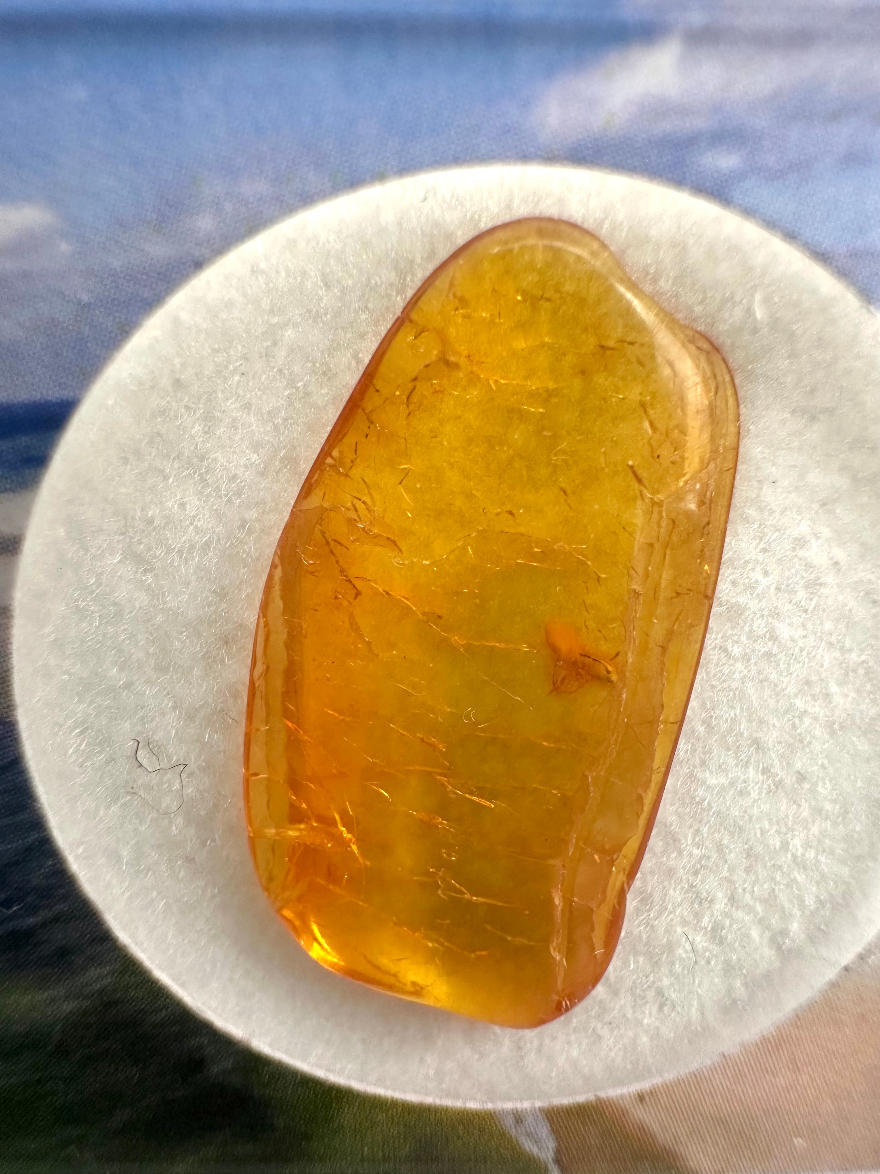 Amber in box – Lithuania - JN148