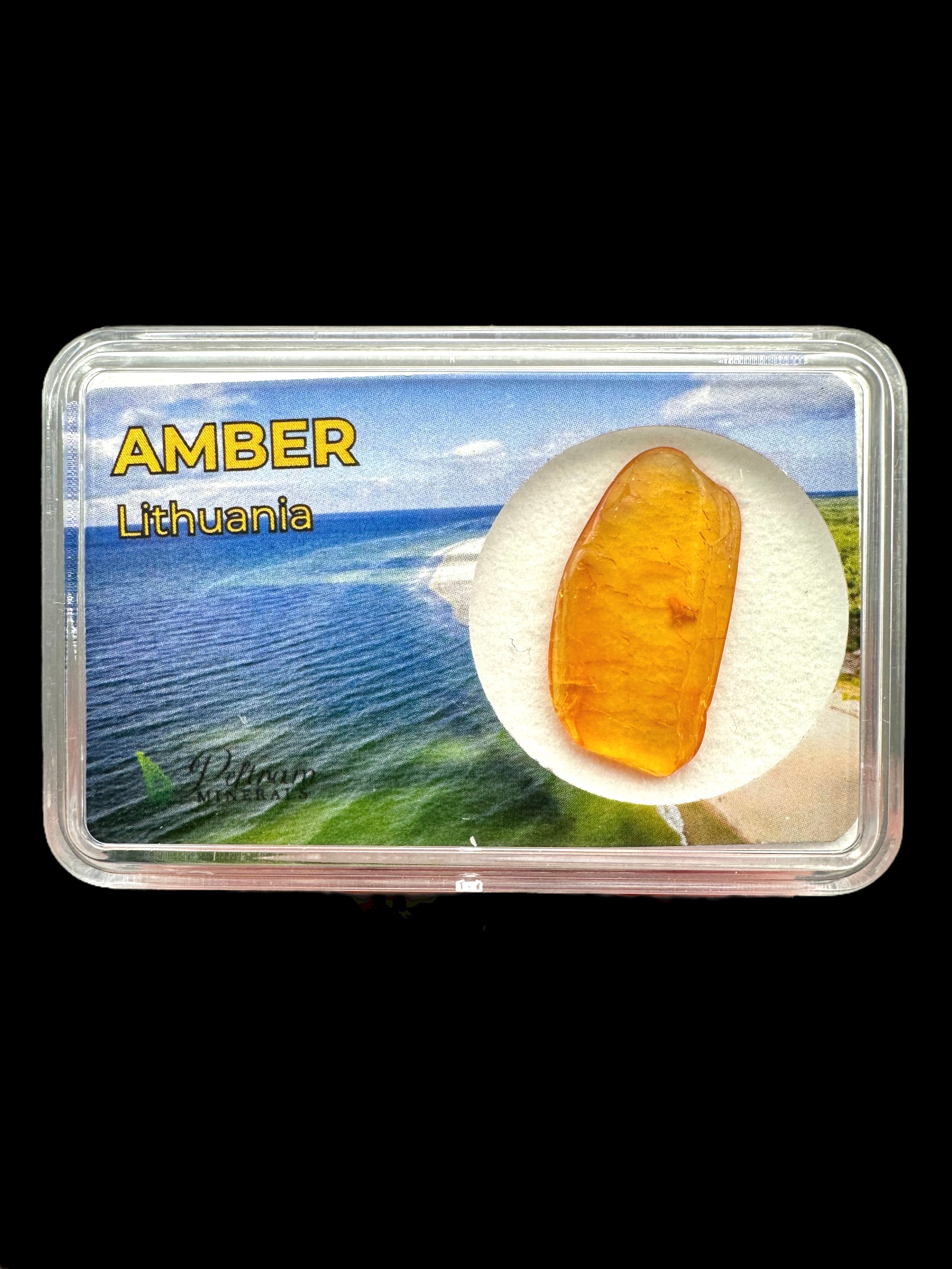 Amber in box – Lithuania