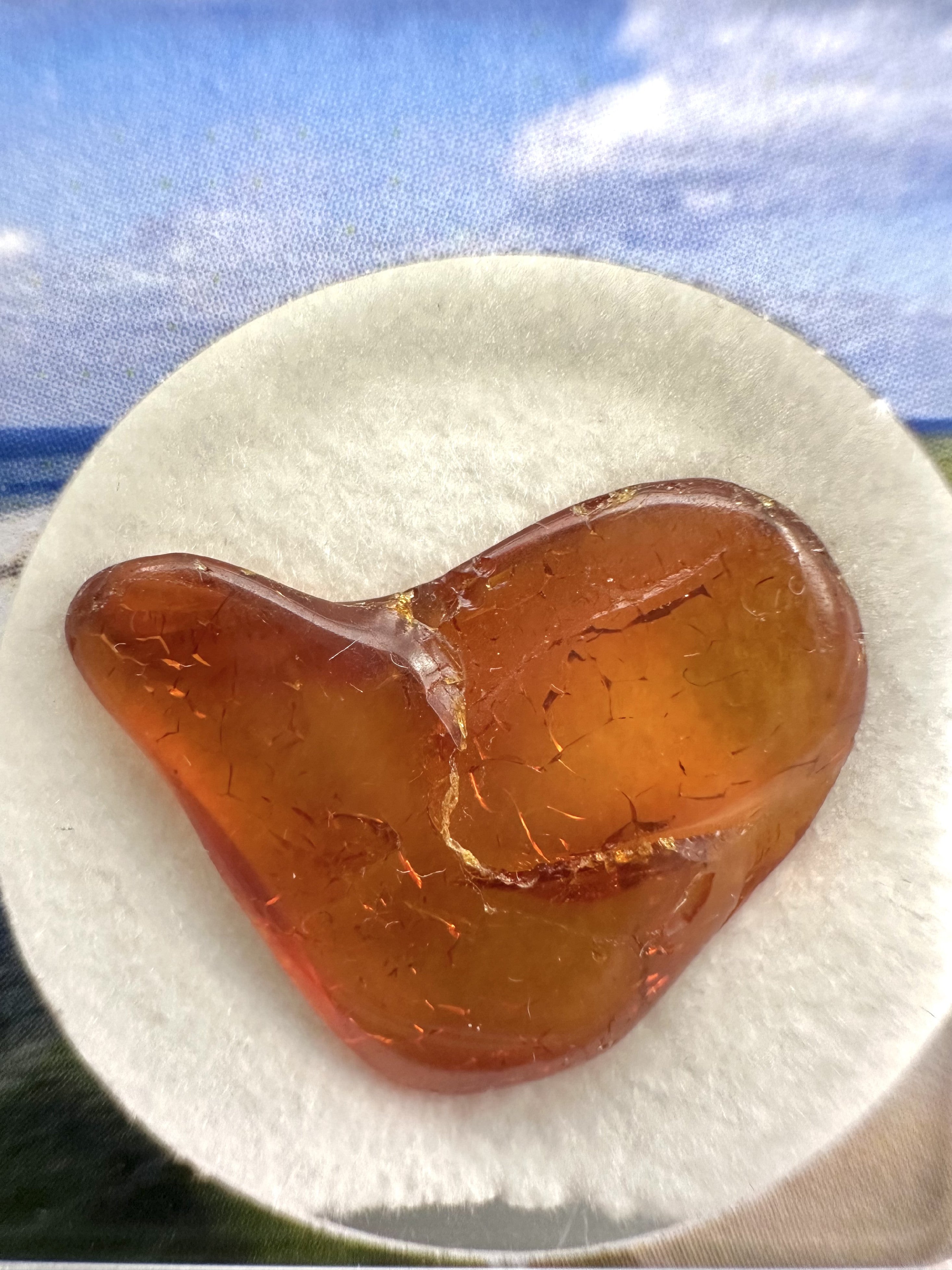 Amber in box – Lithuania - JN149