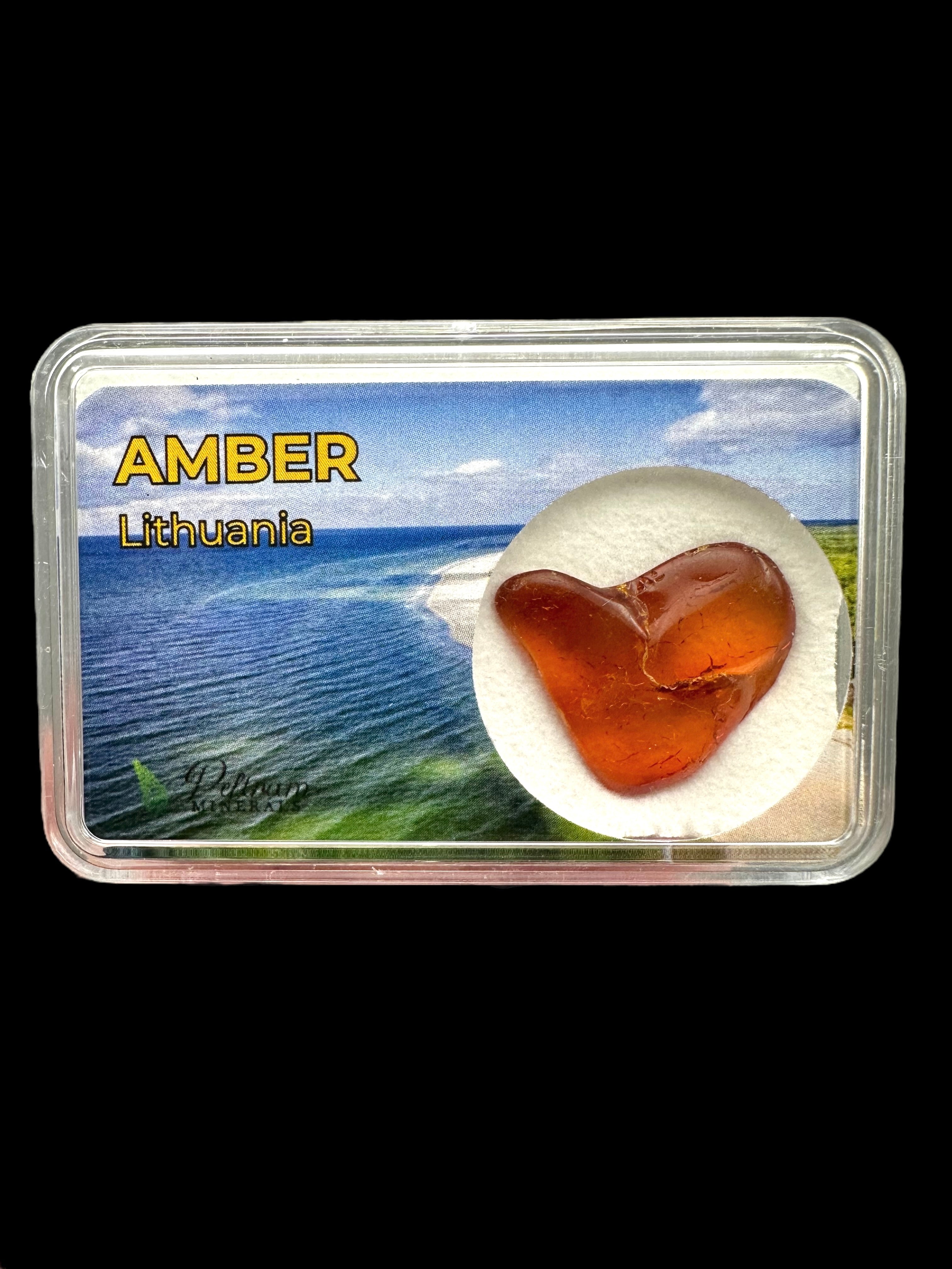 Amber in box – Lithuania