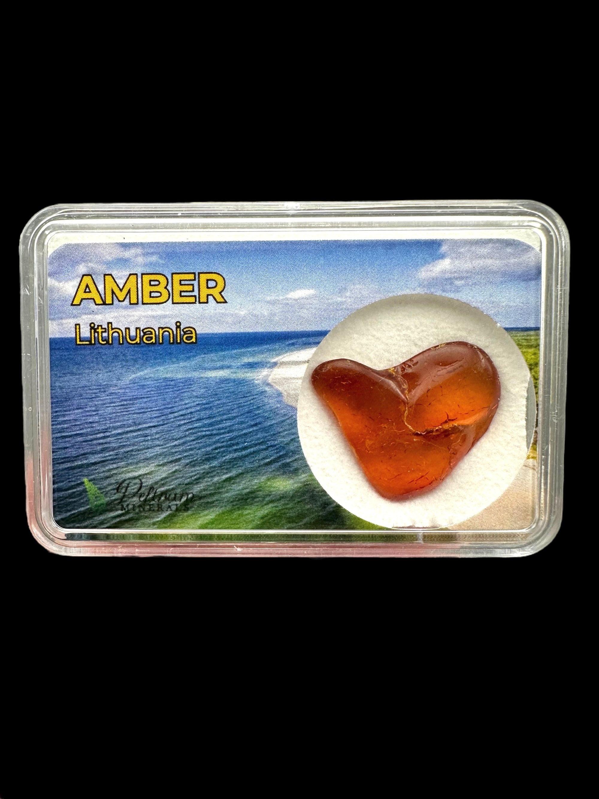 Amber in box – Lithuania