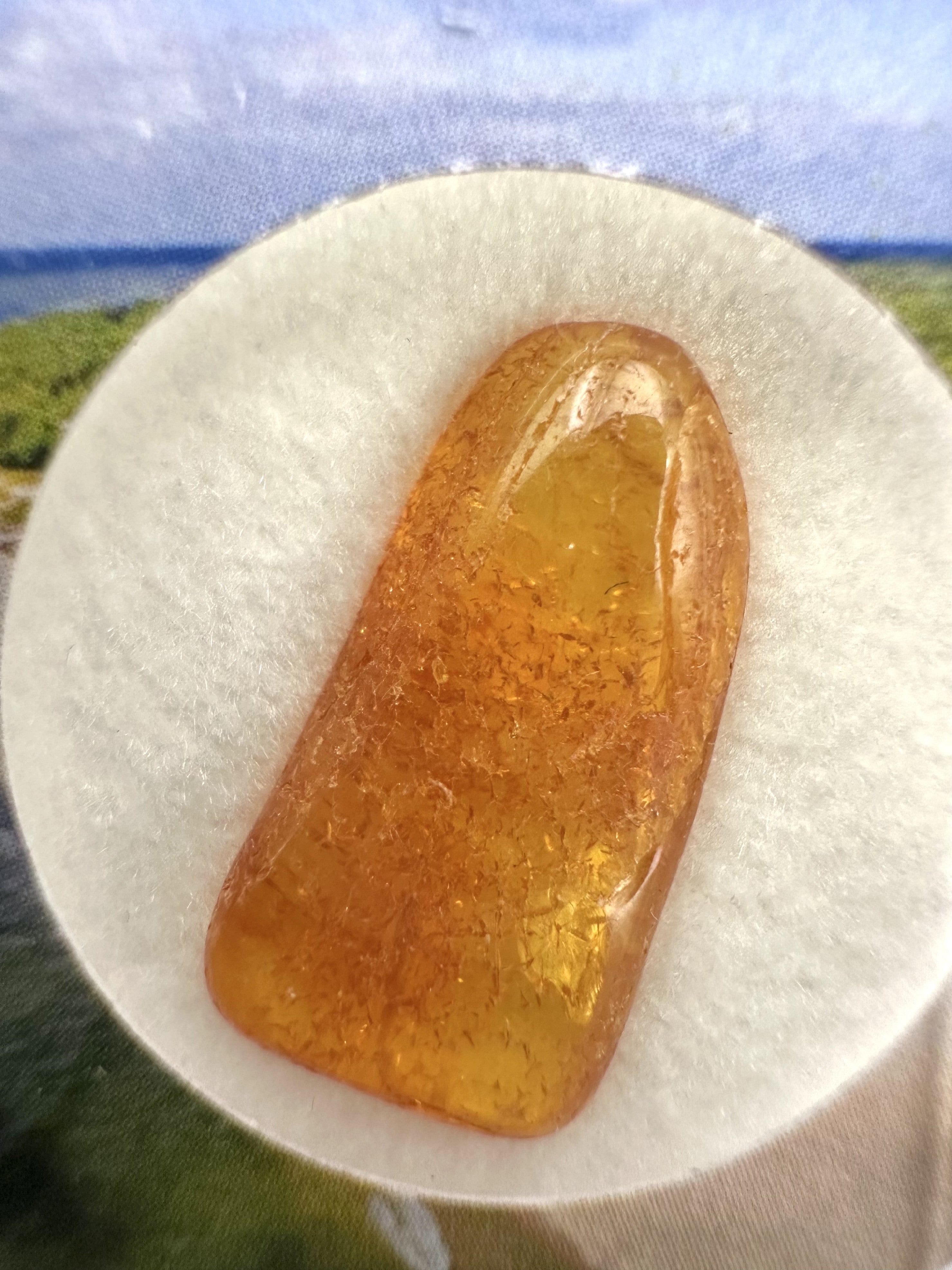 Amber in box – Lithuania - JN150