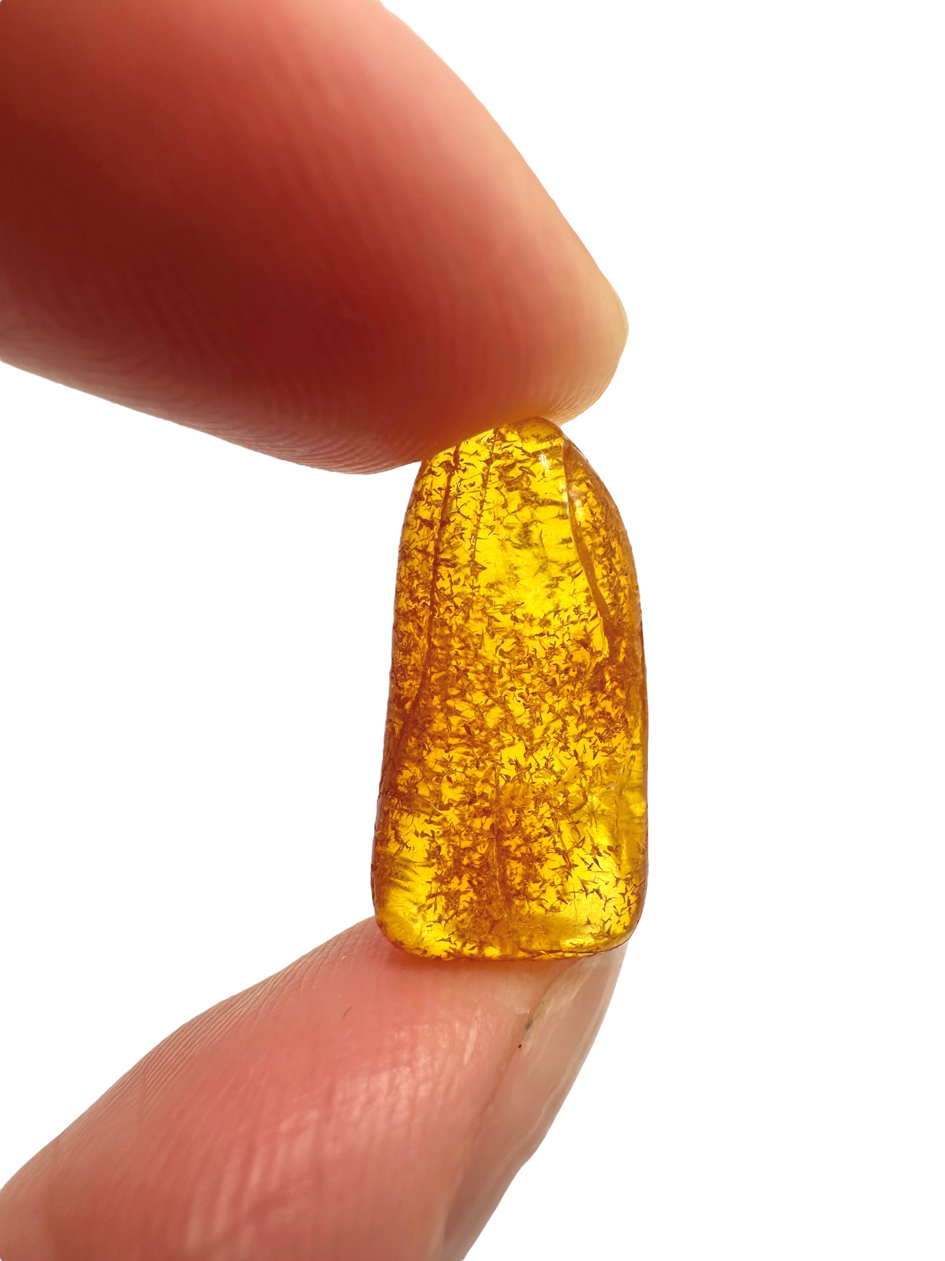 Amber in box – Lithuania - JN150
