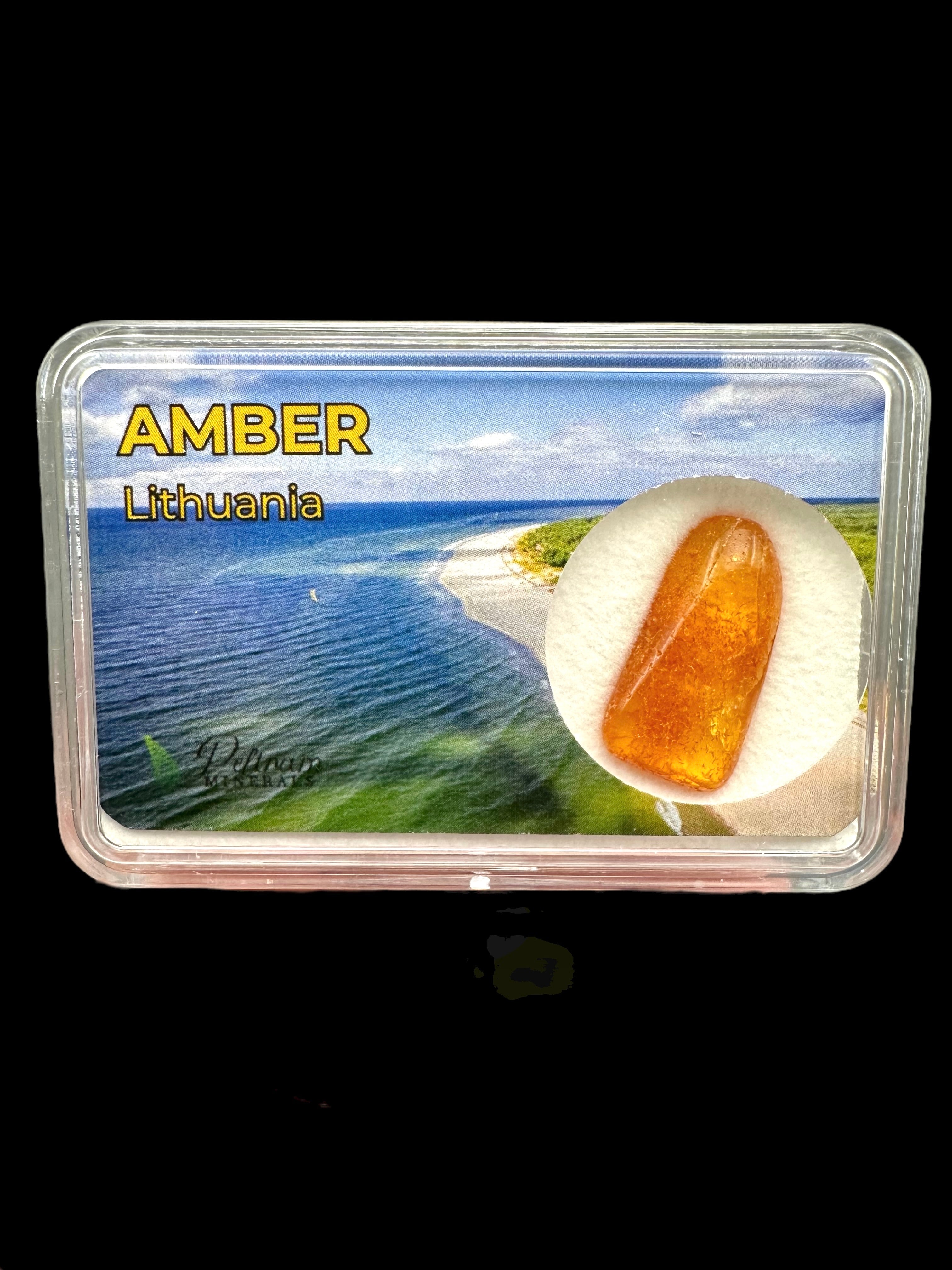 Amber in box – Lithuania