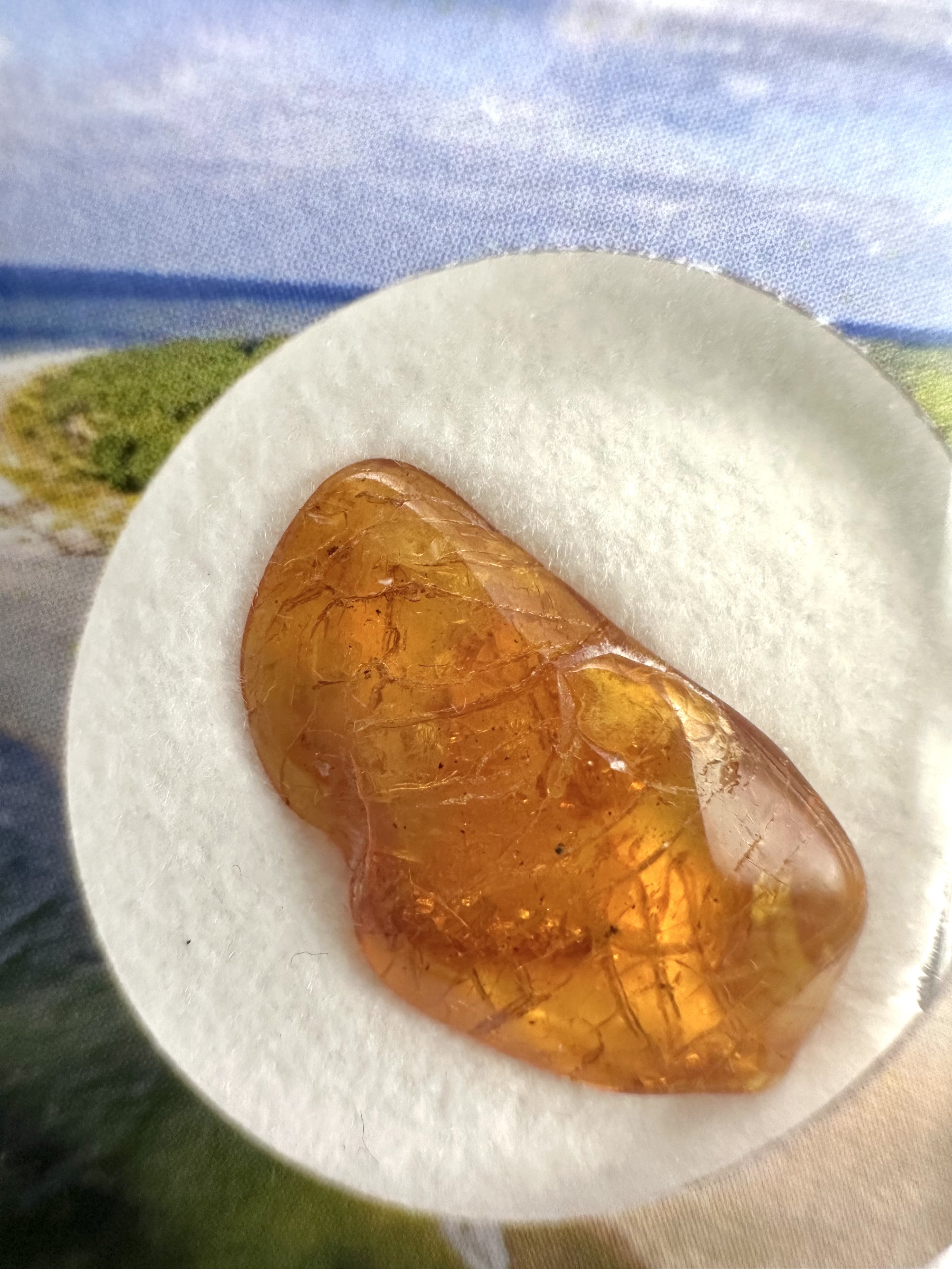 Amber in box – Lithuania - JN151
