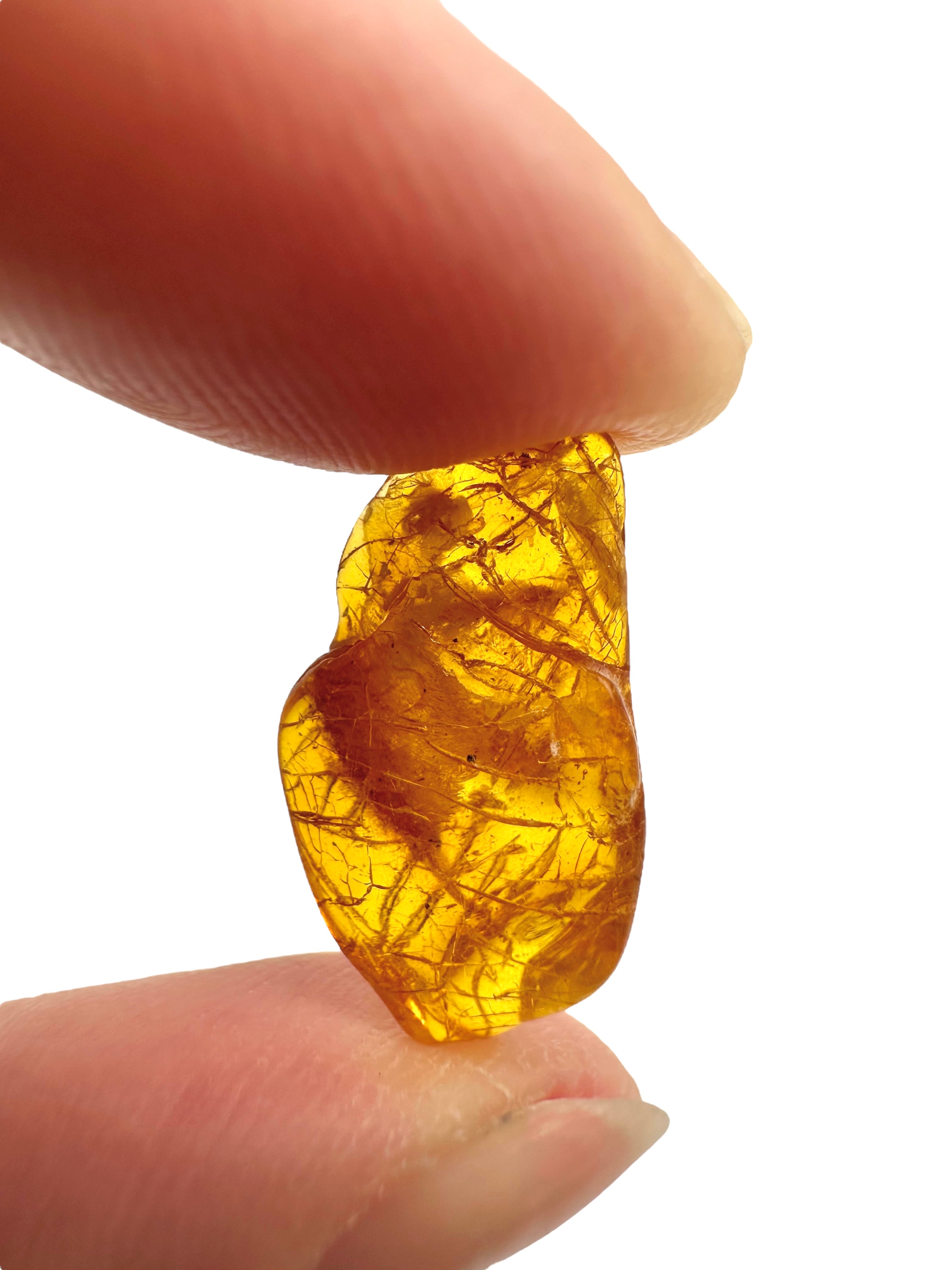 Amber in box – Lithuania - JN151