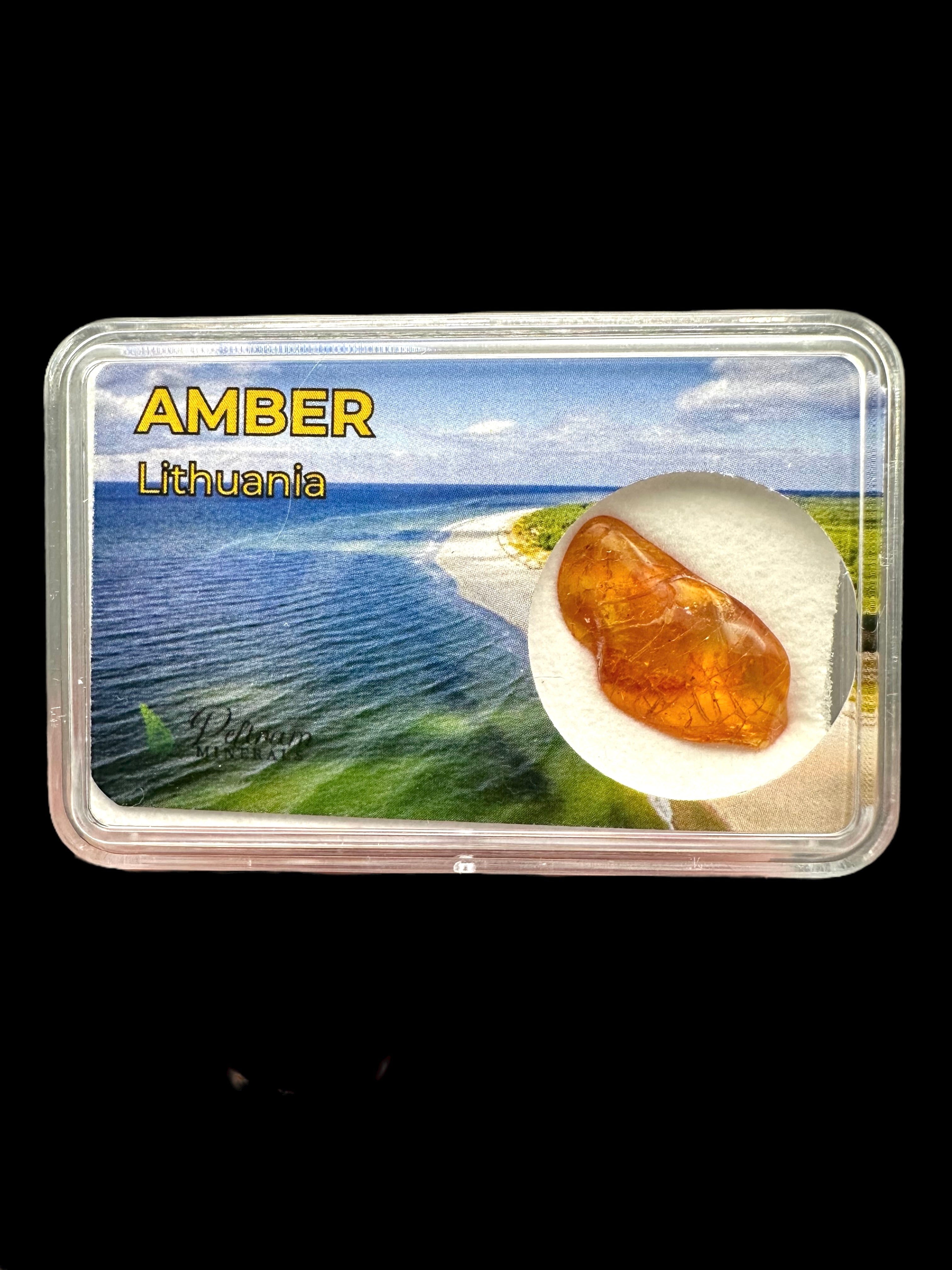 Amber in box – Lithuania