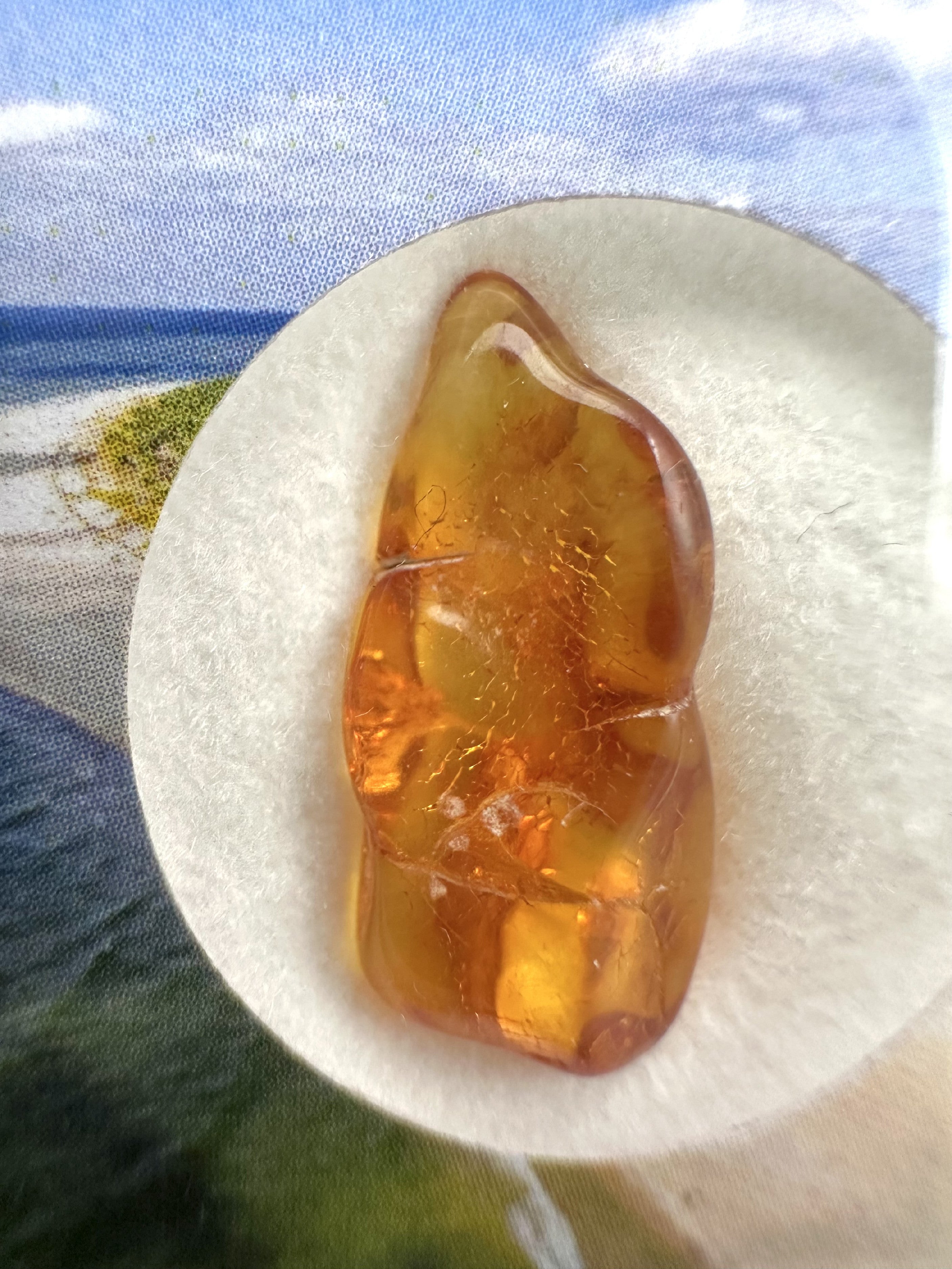 Amber in box – Lithuania - JN152