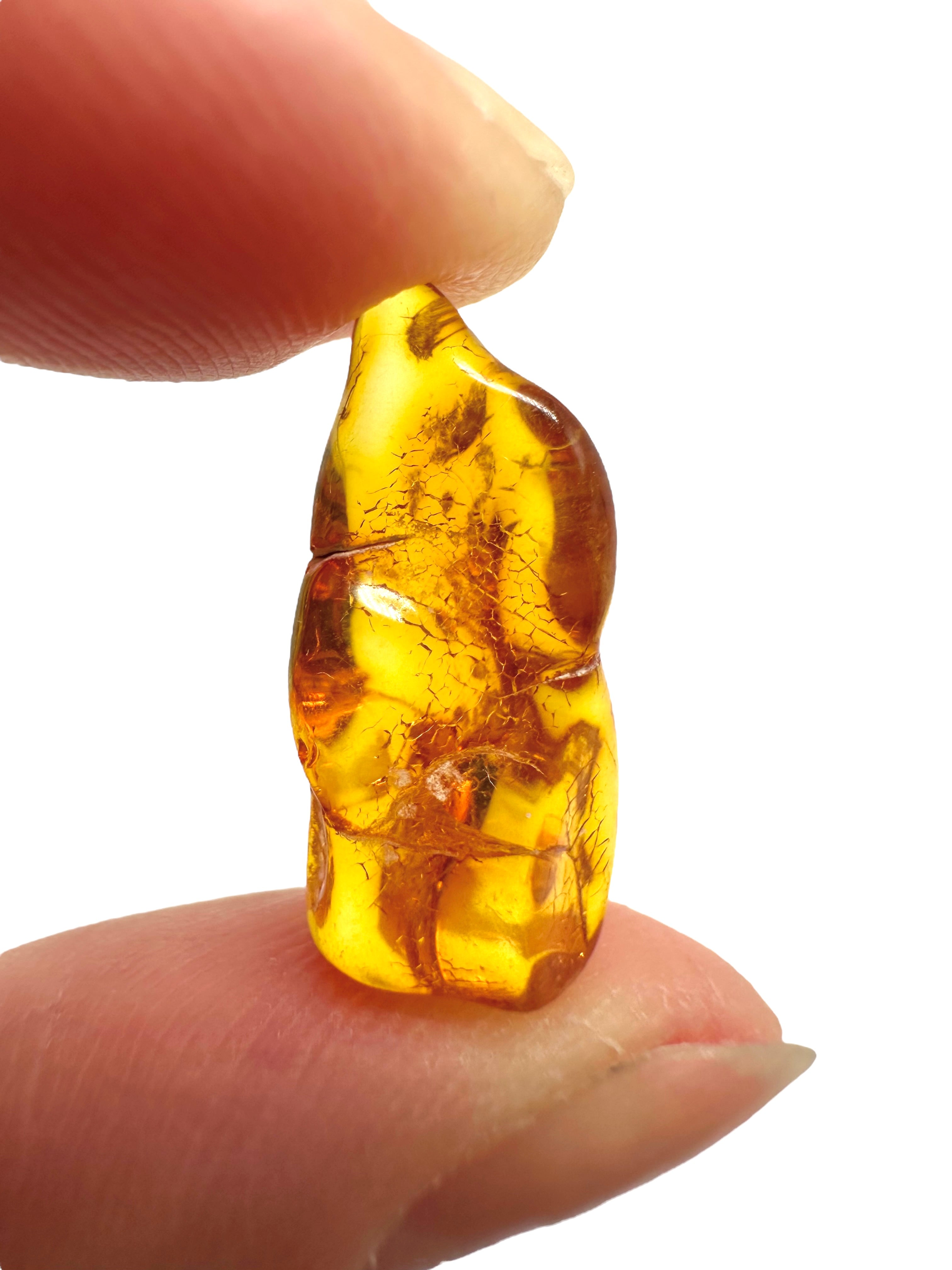 Amber in box – Lithuania - JN152