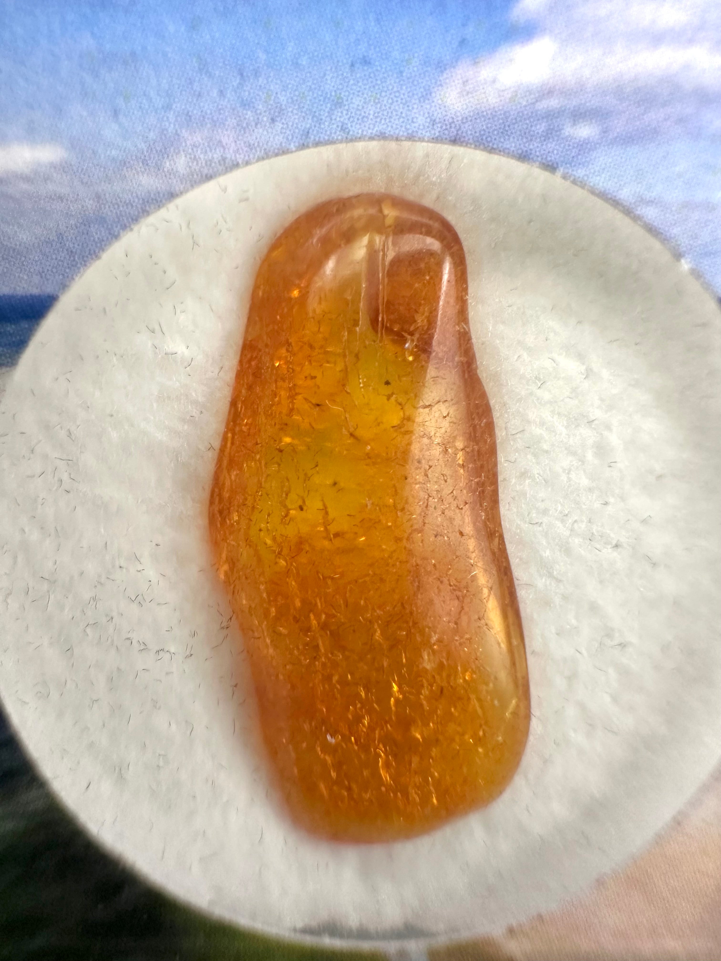 Amber in box – Lithuania - JN153