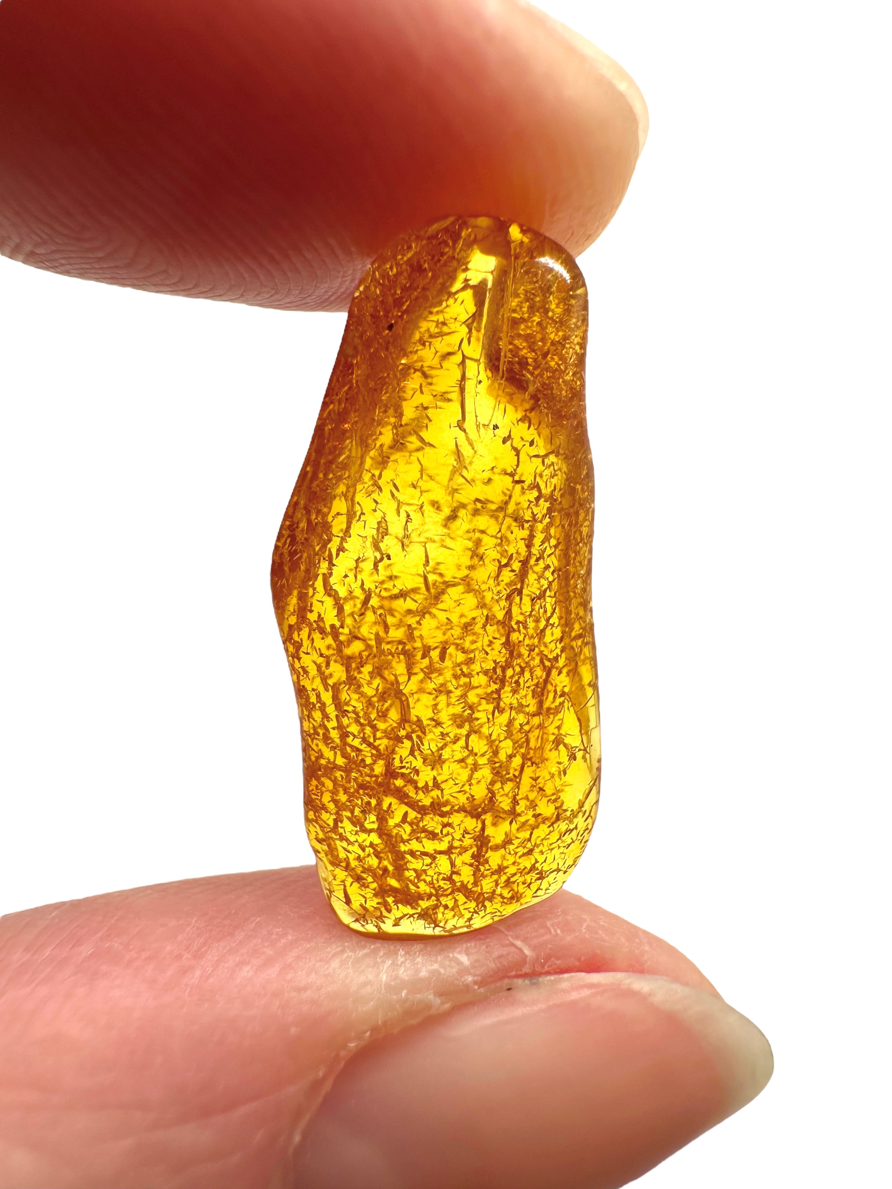 Amber in box – Lithuania - JN153