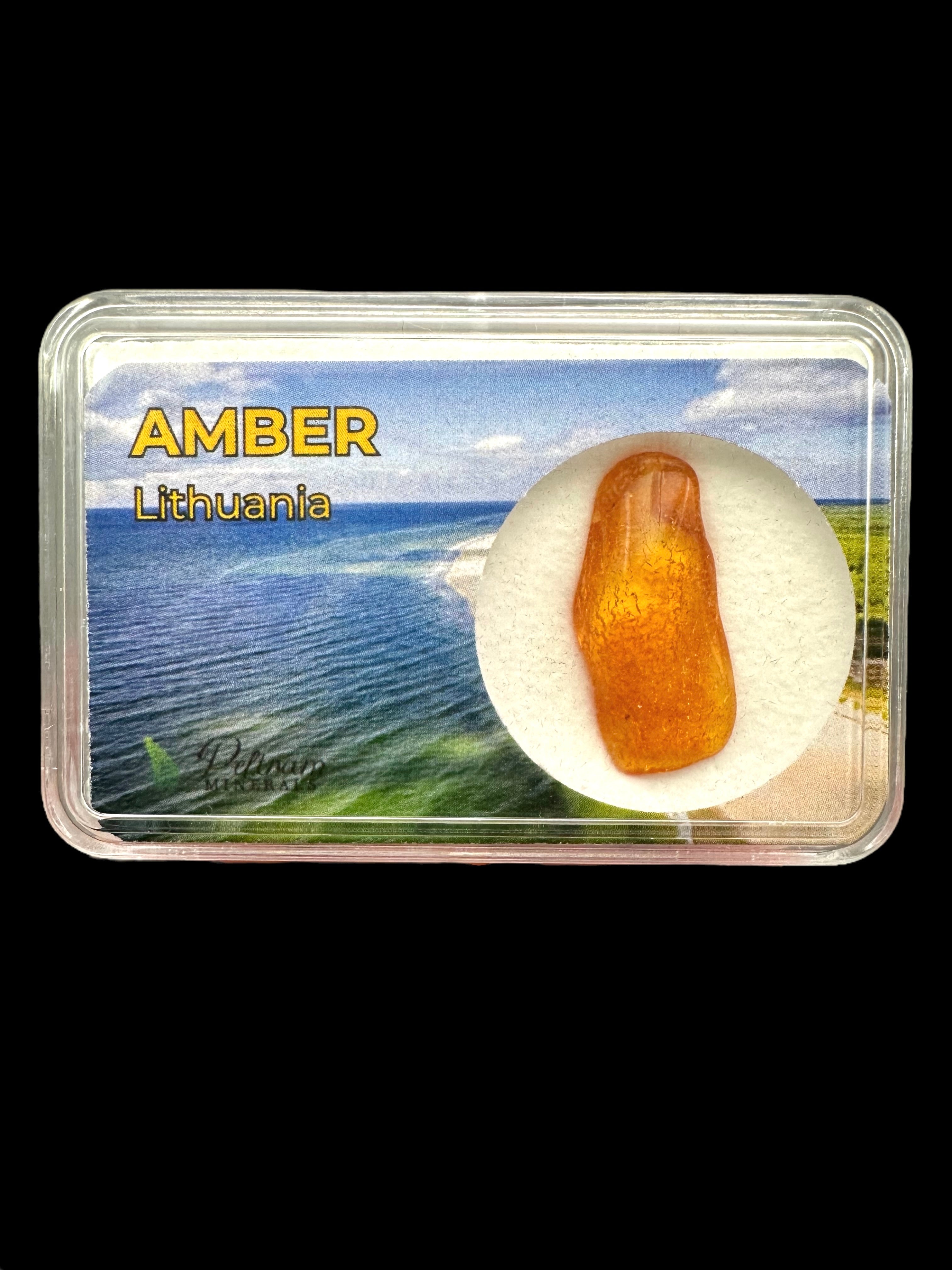 Amber in box – Lithuania
