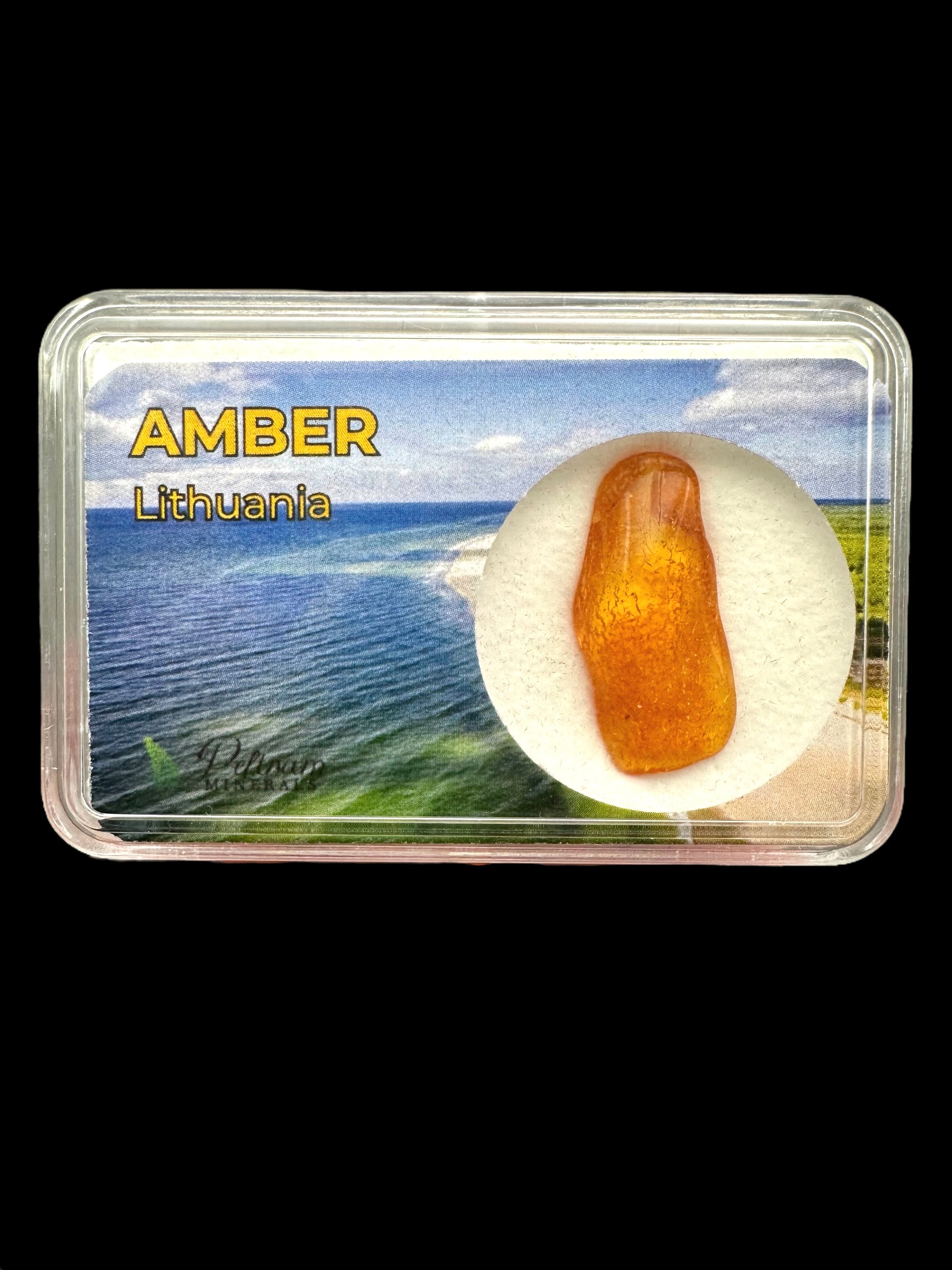 Amber in box – Lithuania