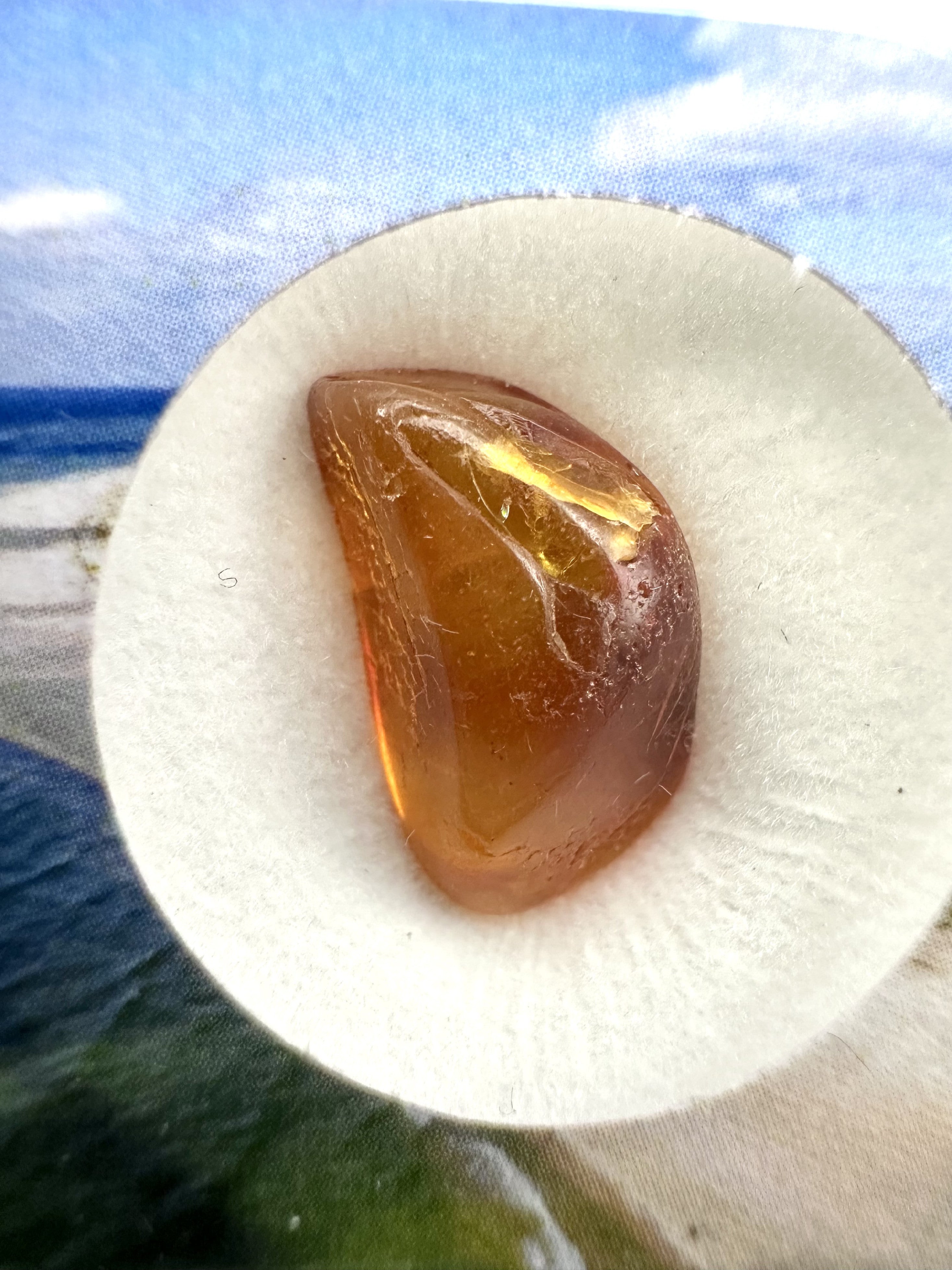 Amber in box – Lithuania - JN154