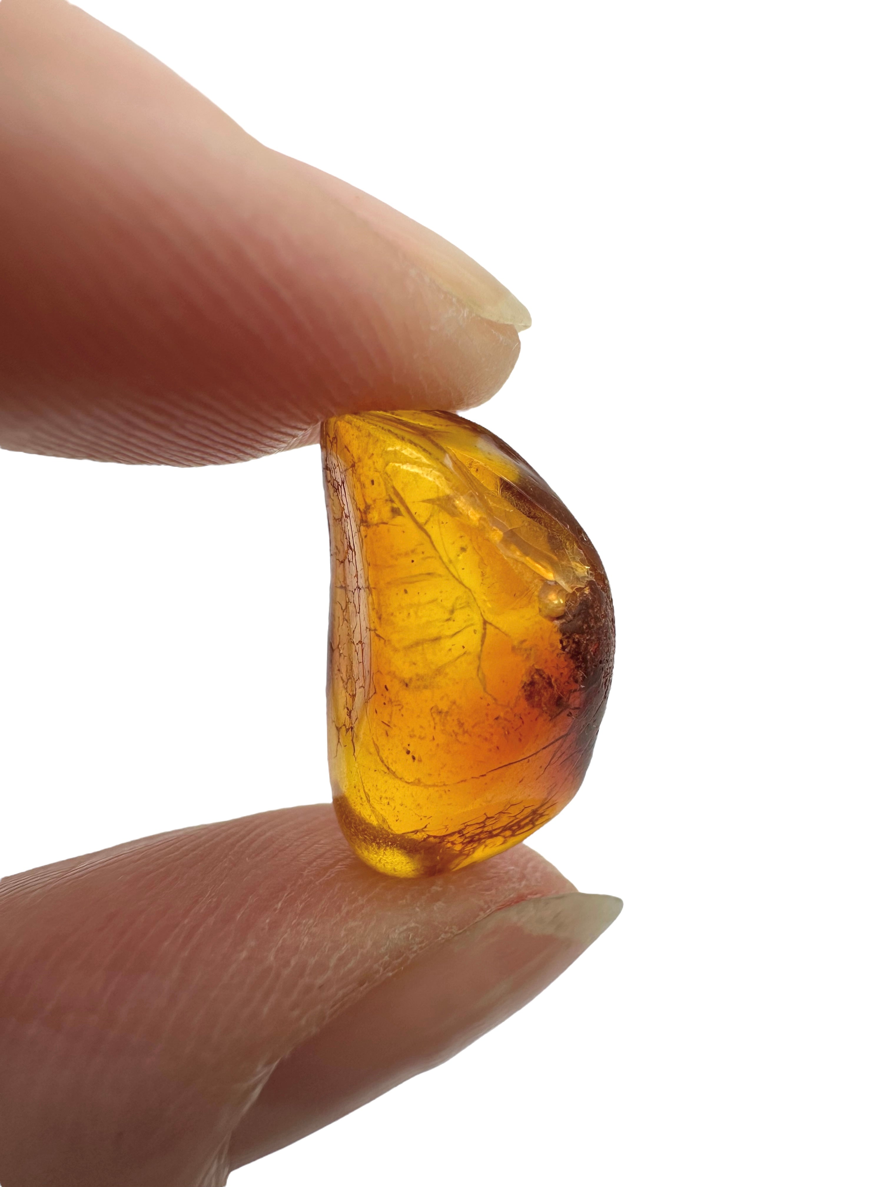 Amber in box – Lithuania - JN154
