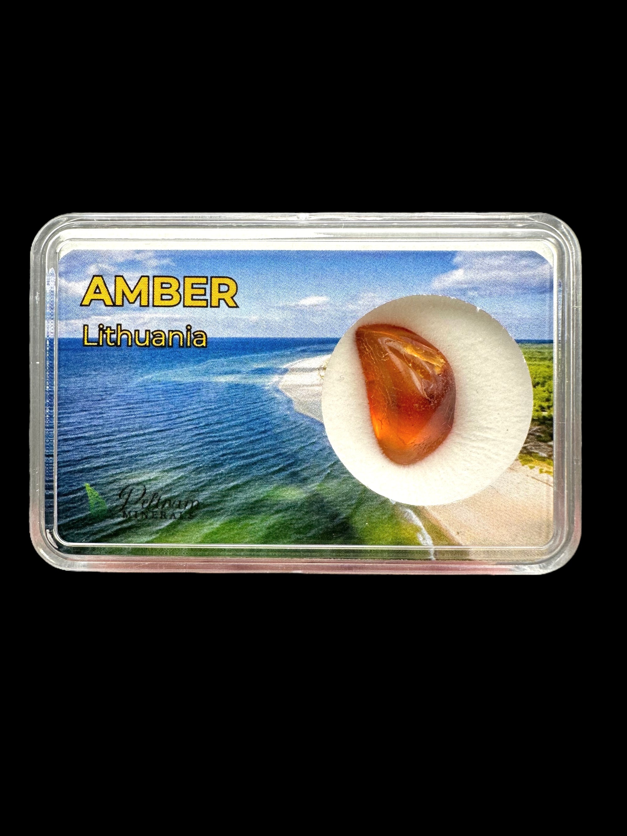 Amber in box – Lithuania