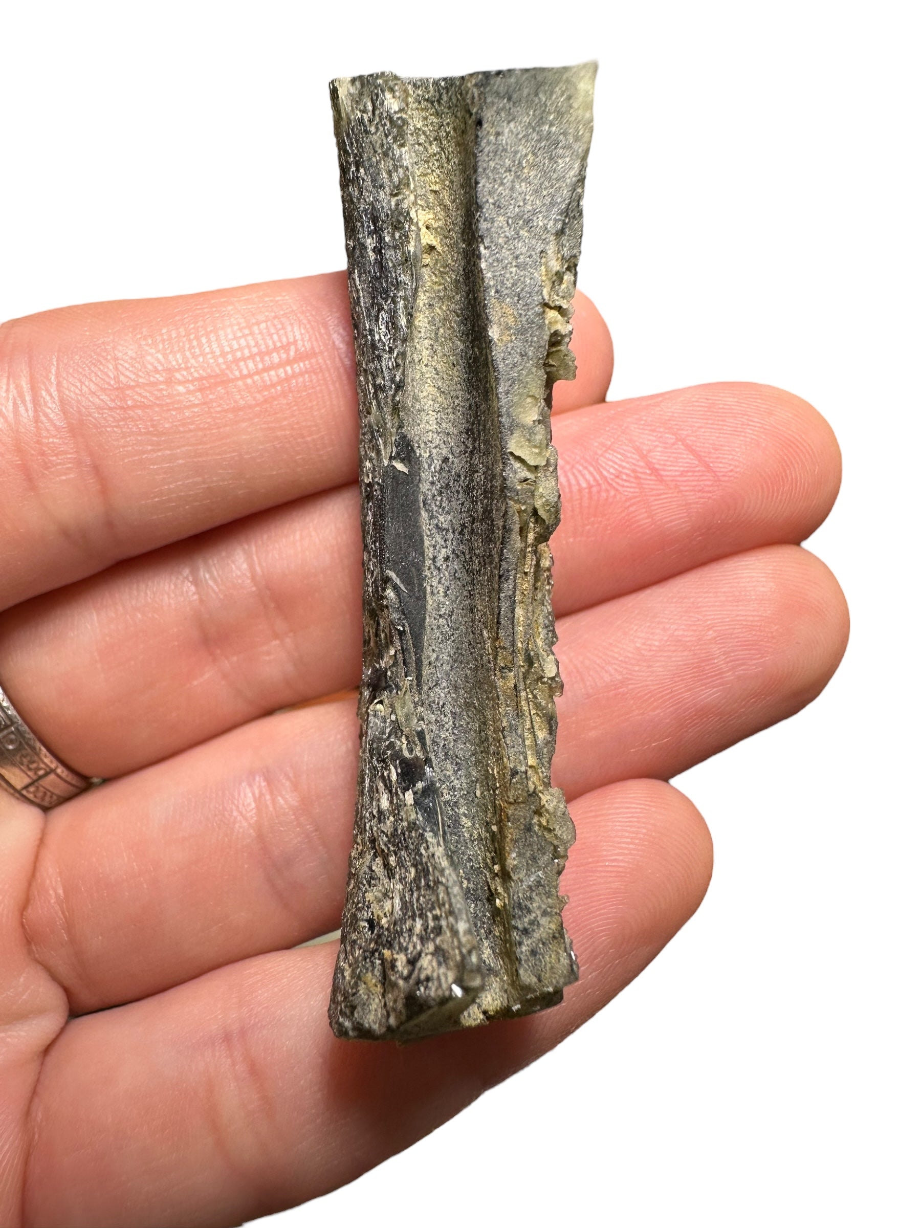 Moldavite – Jankov – 17,6g - V1250
