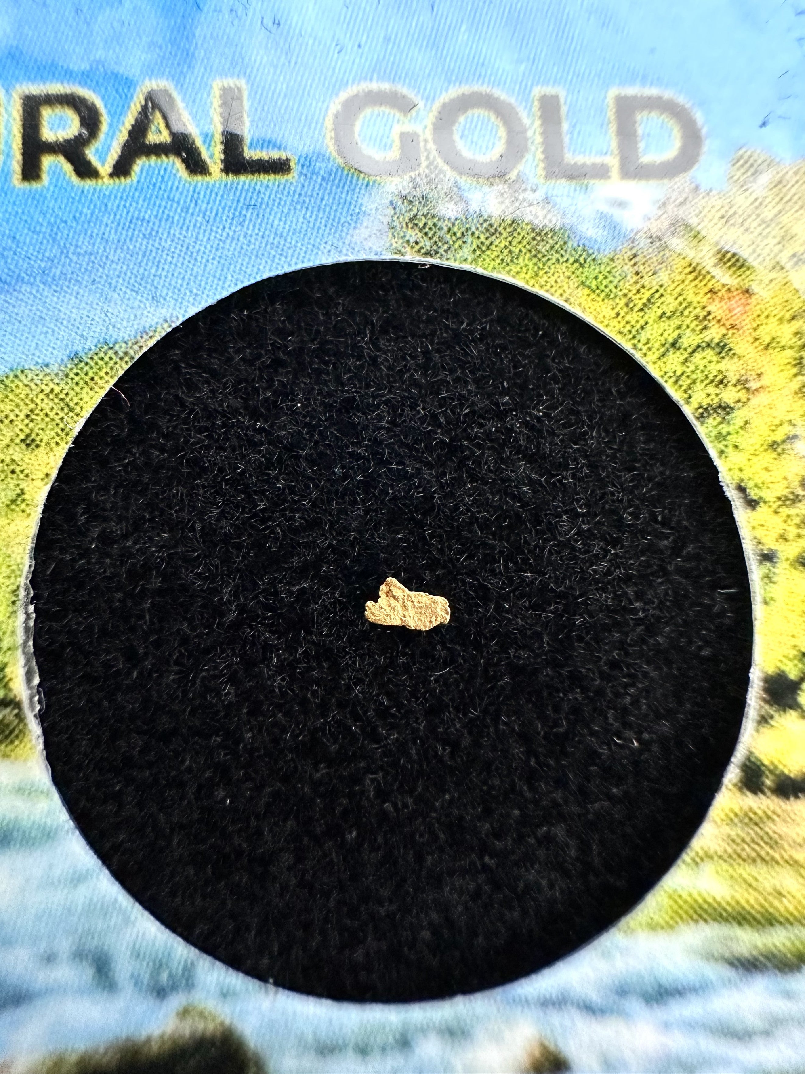 Gold in box – Otava, CZ - ZL068