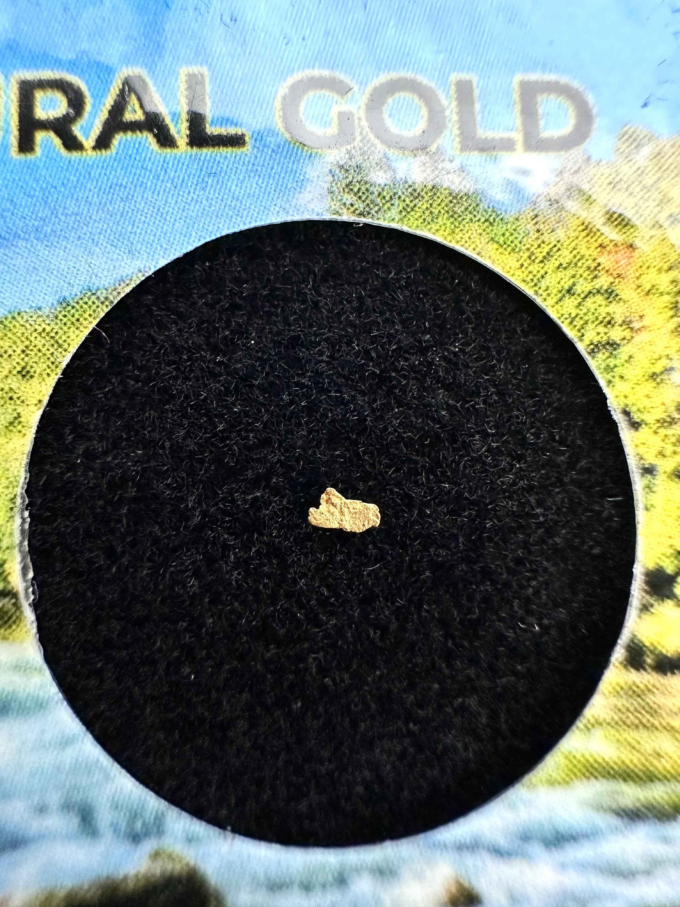 Gold in box – Otava, CZ - ZL068