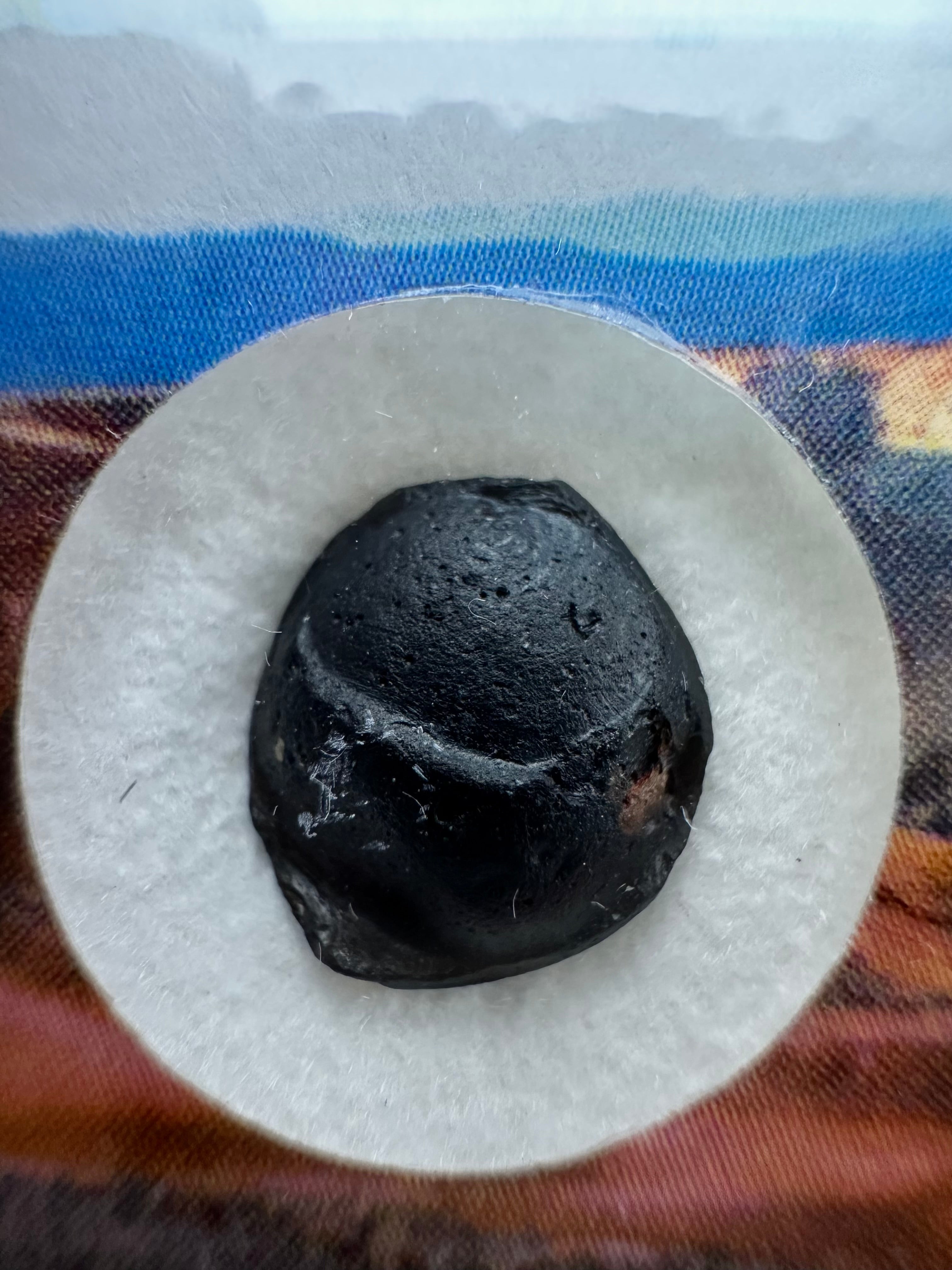 Australite "button" in box – Kalgoorlie, Western Australia - AU031