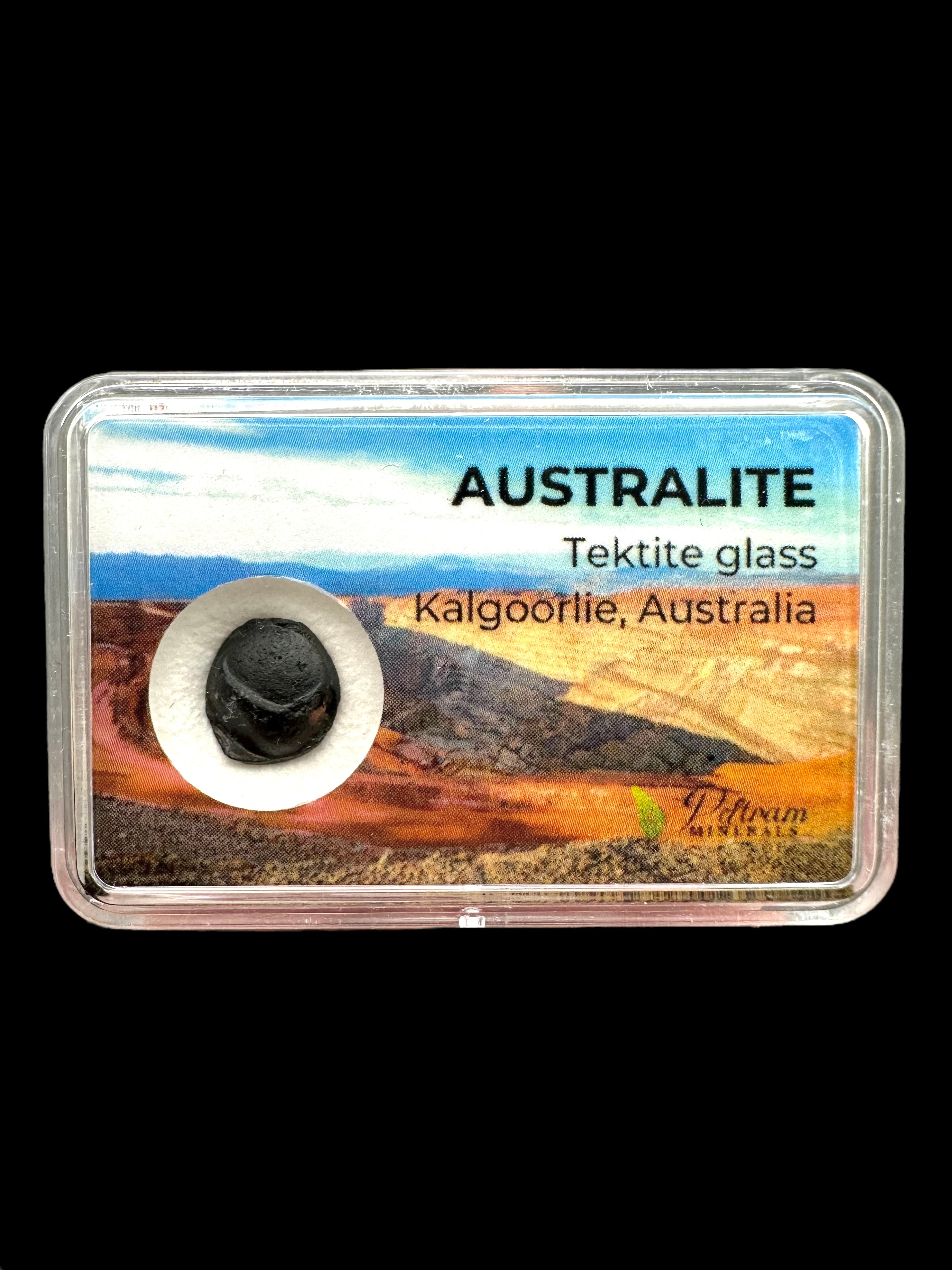 Australite "button" in box – Kalgoorlie, Western Australia