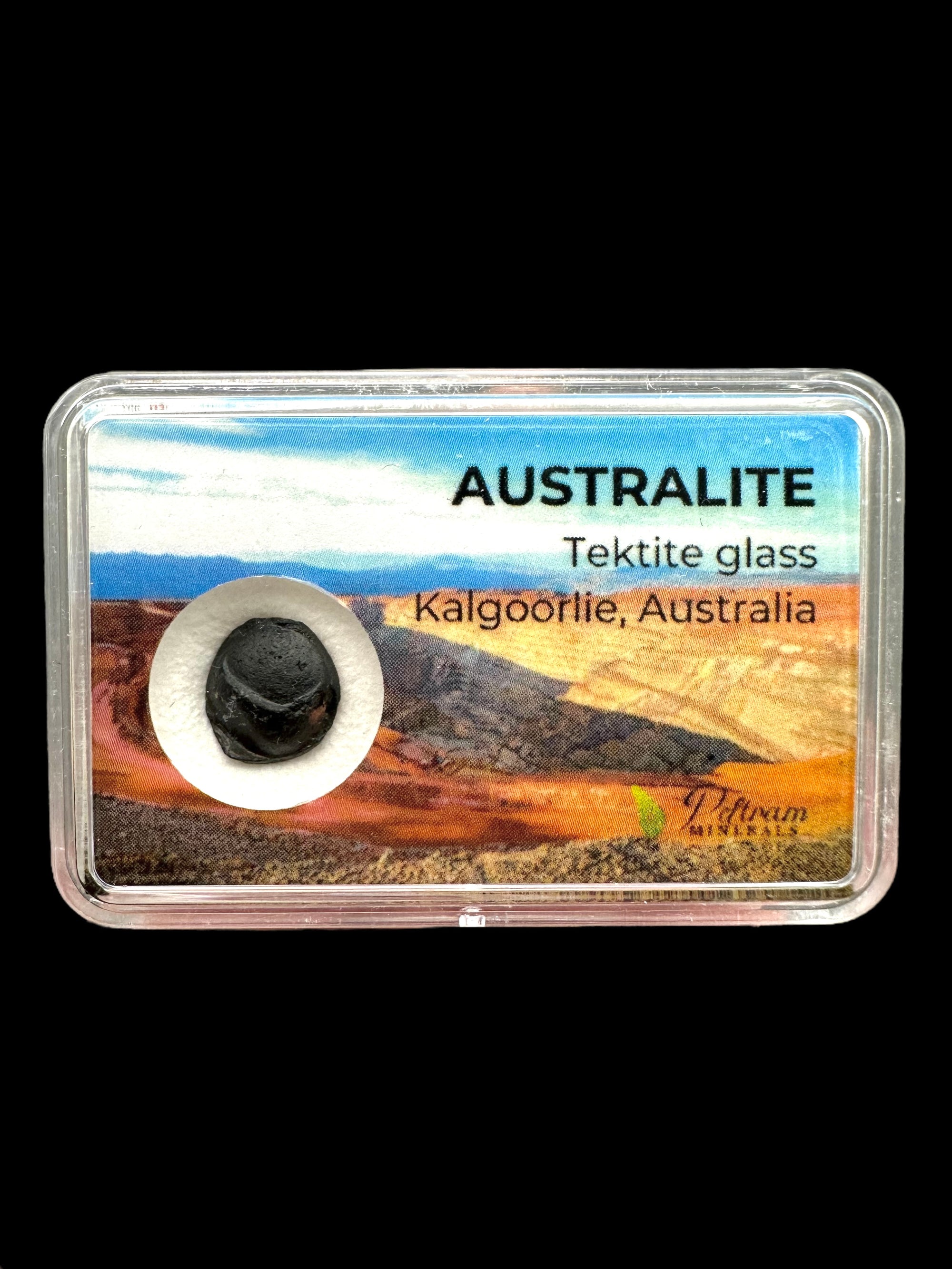 Australite "button" in box – Kalgoorlie, Western Australia