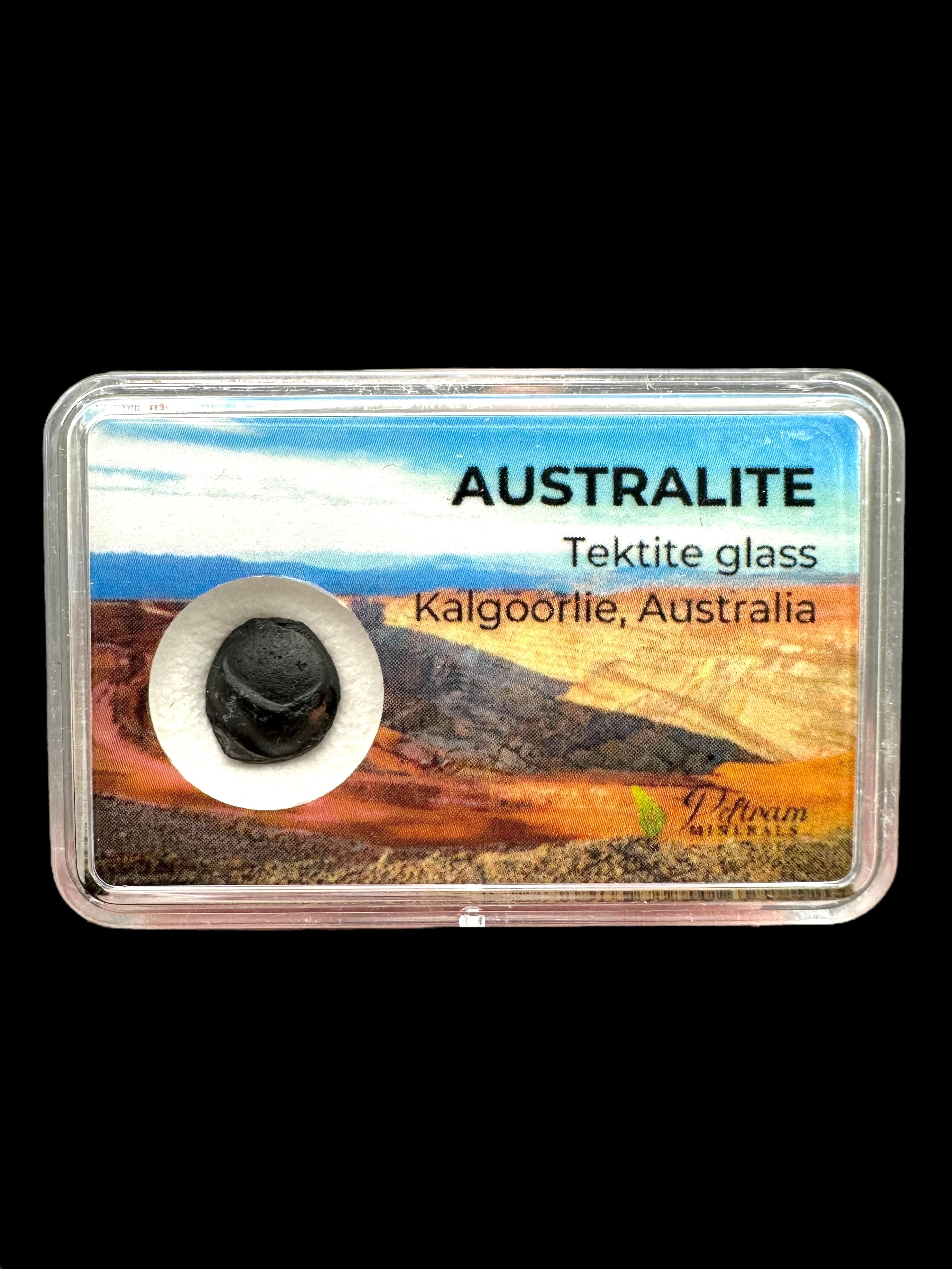 Australite "button" in box – Kalgoorlie, Western Australia