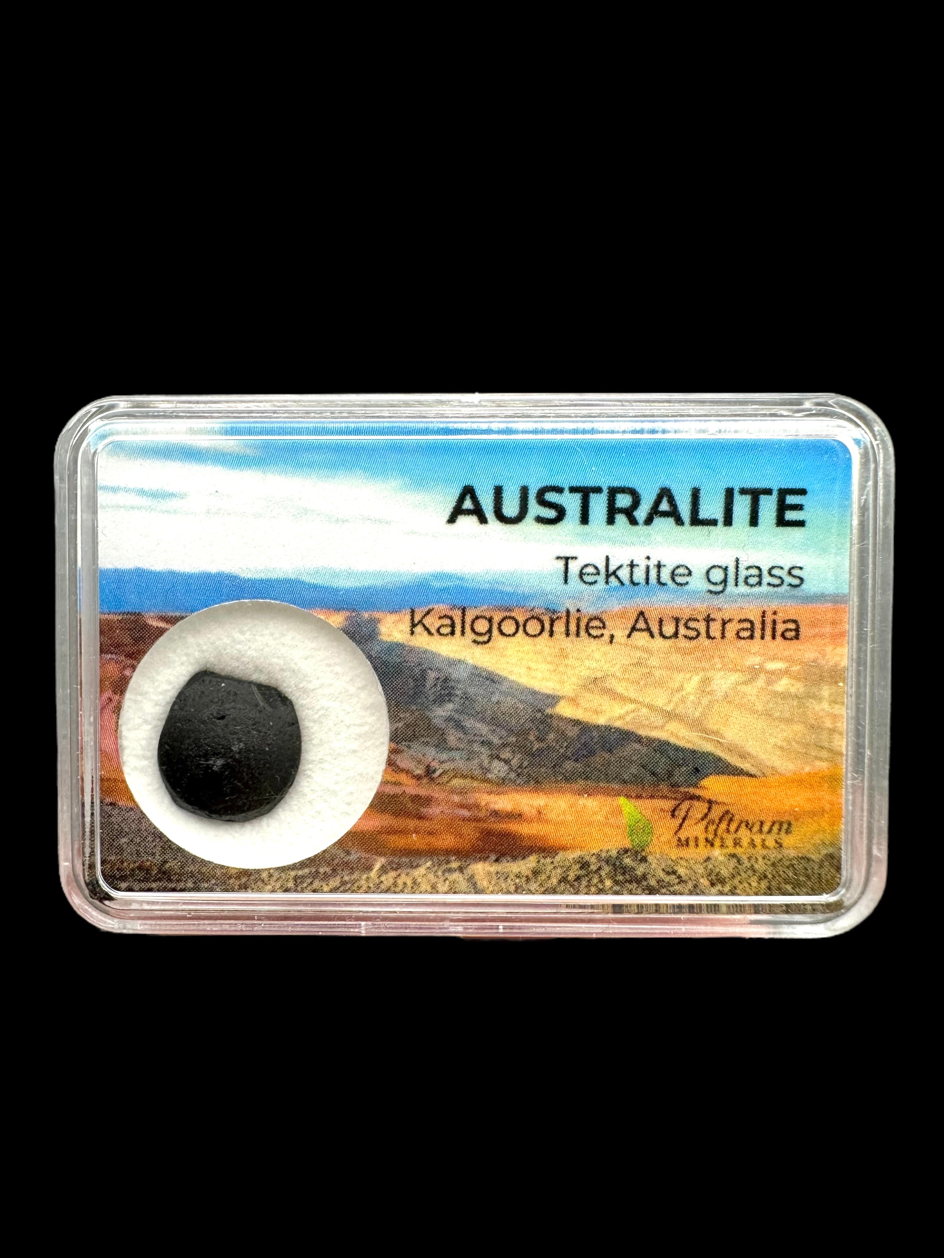 Australite "button" in box – Kalgoorlie, Western Australia