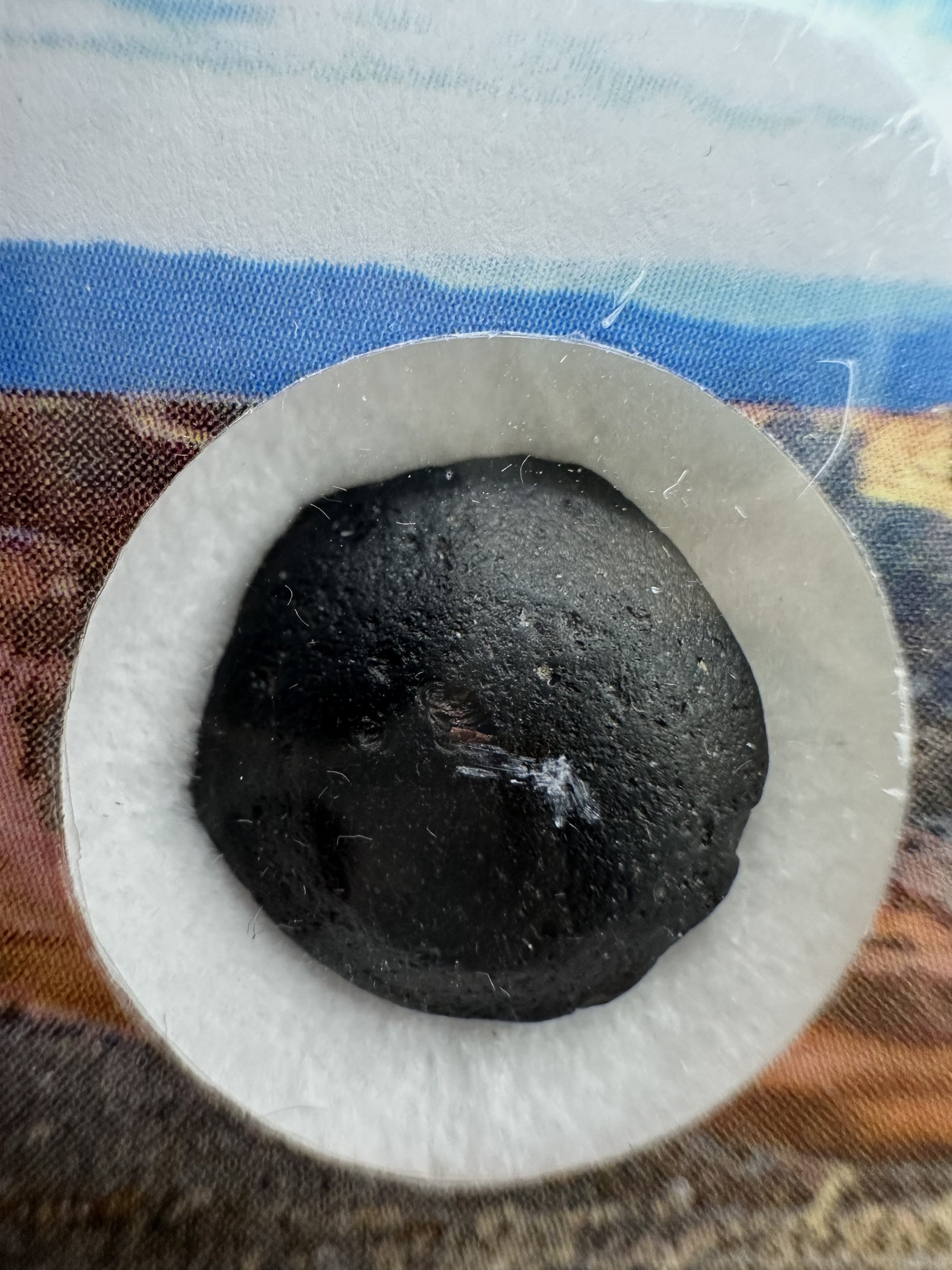 Australite "button" in box – Kalgoorlie, Western Australia - AU033