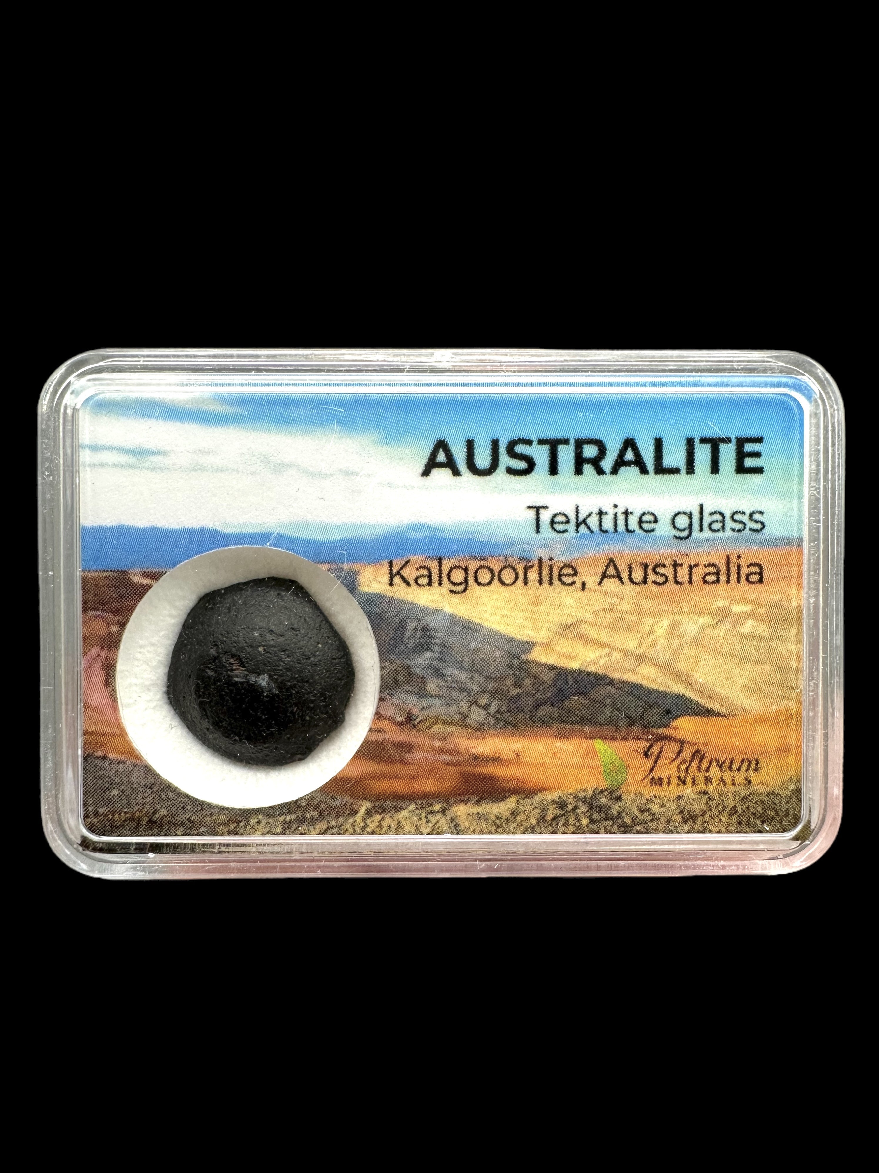 Australite "button" in box – Kalgoorlie, Western Australia