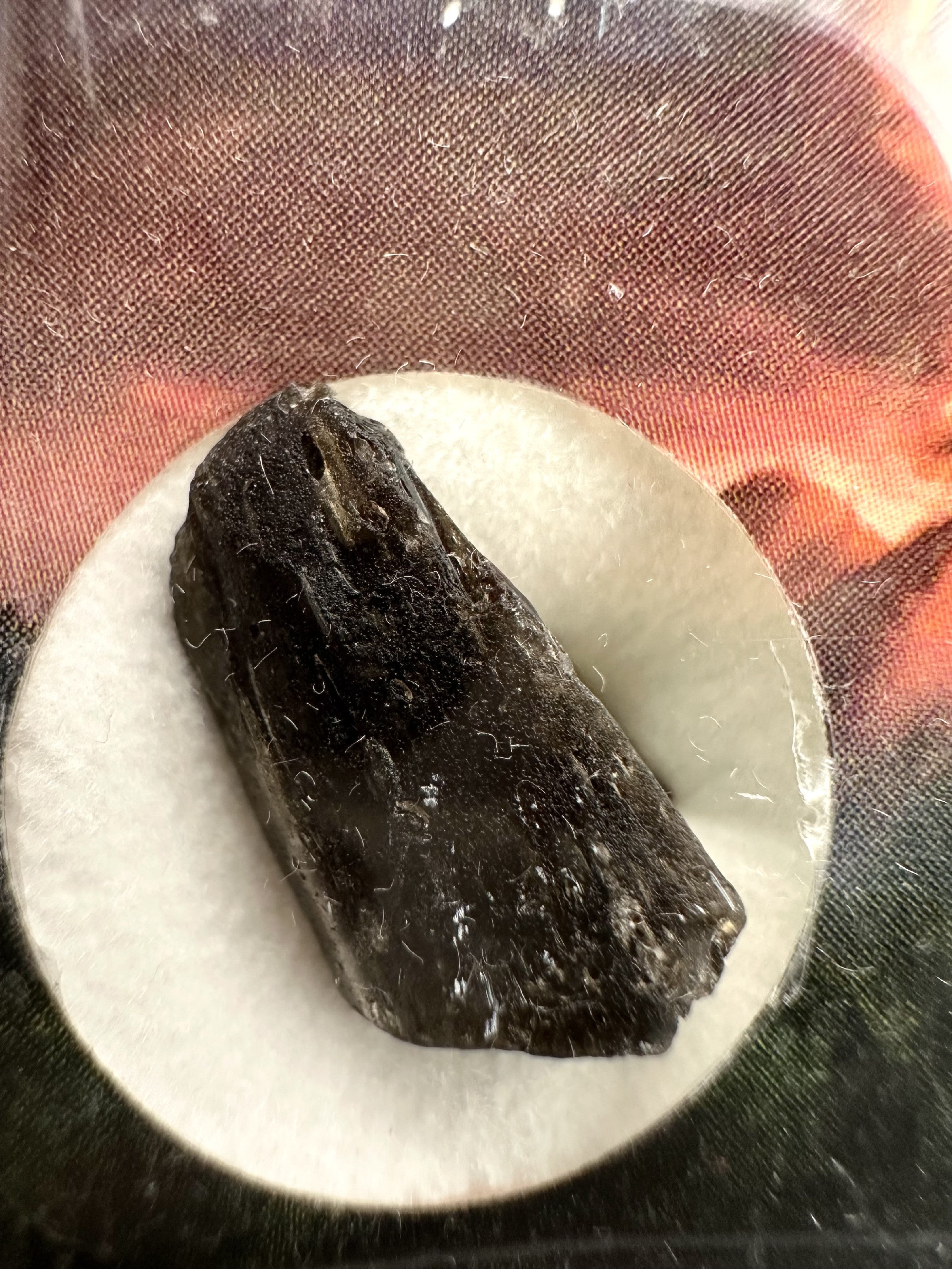 Darwin glass in box – Queenstown, Tasmania - DW031