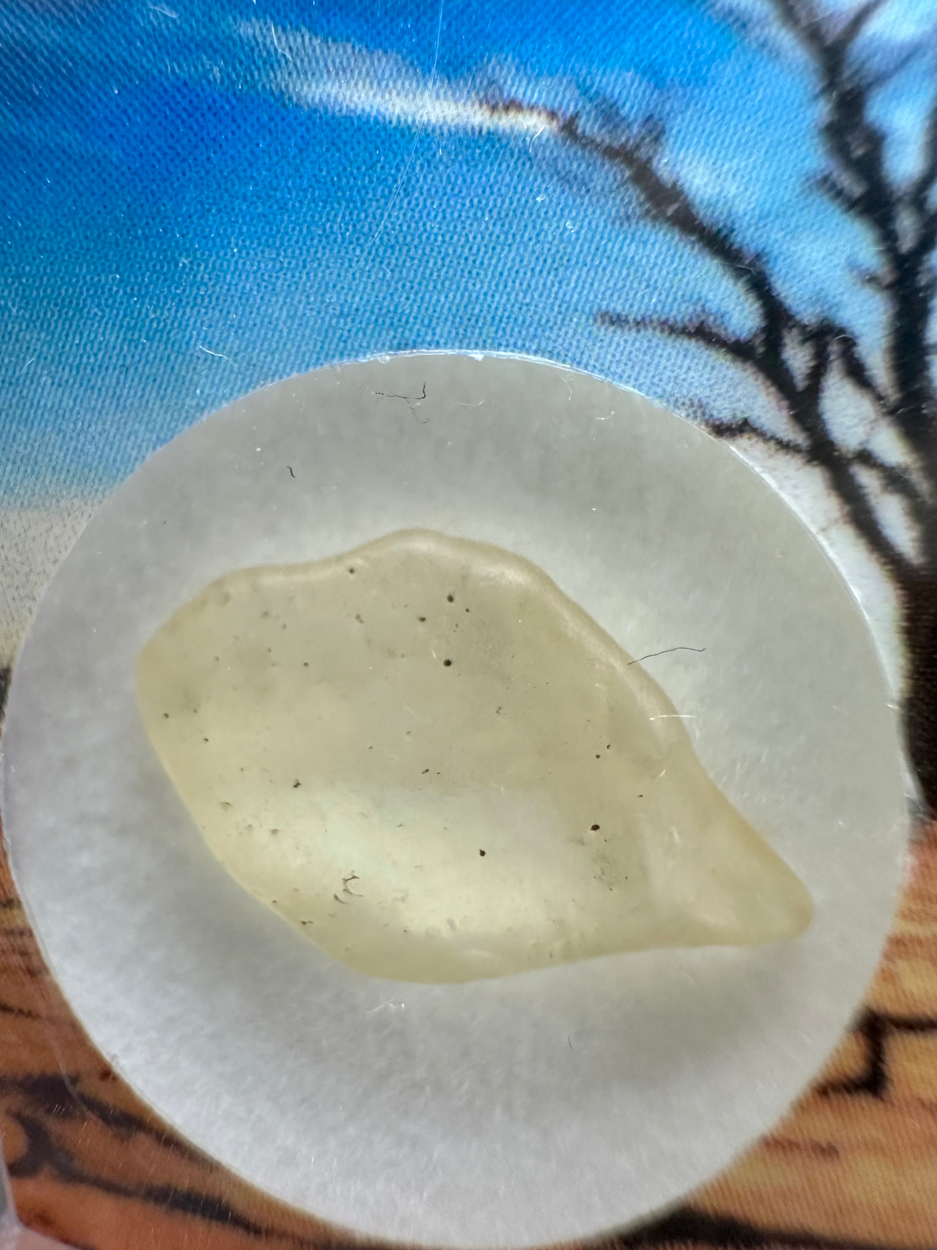 Libyan desert glass in box - LPS039