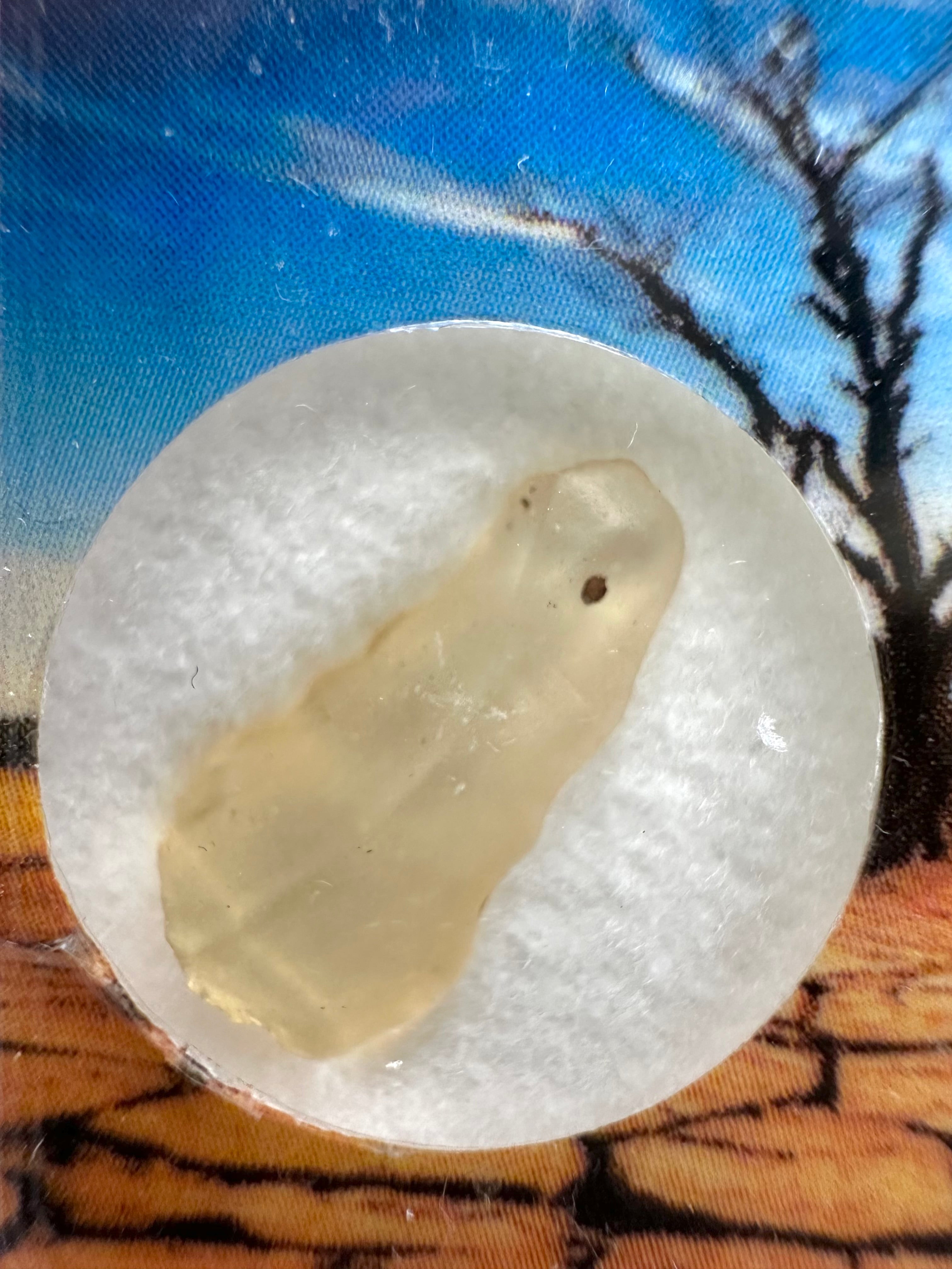 Libyan desert glass in box - LPS041