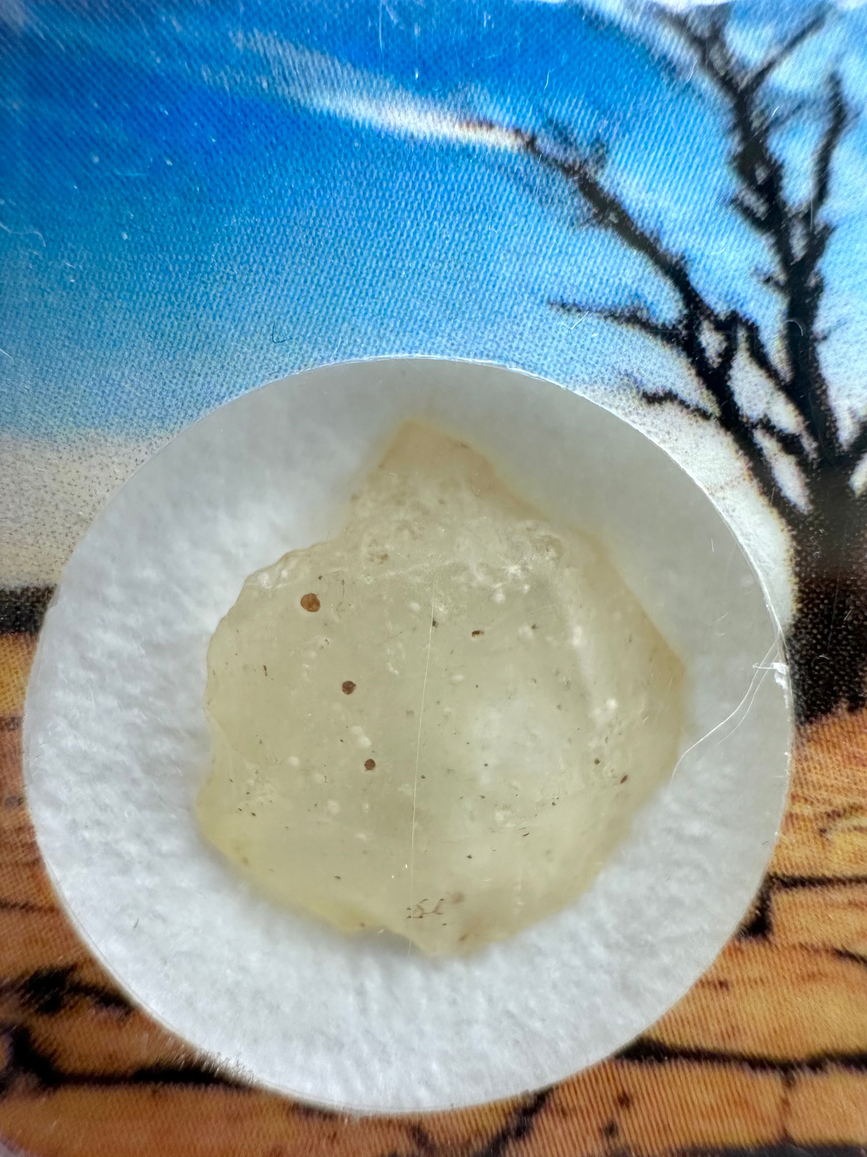 Libyan desert glass in box - LPS042