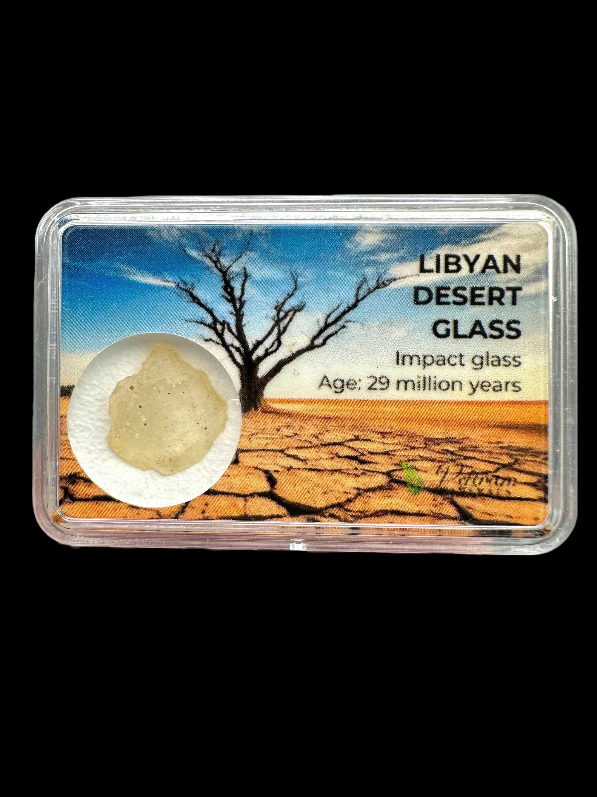 Libyan desert glass in box