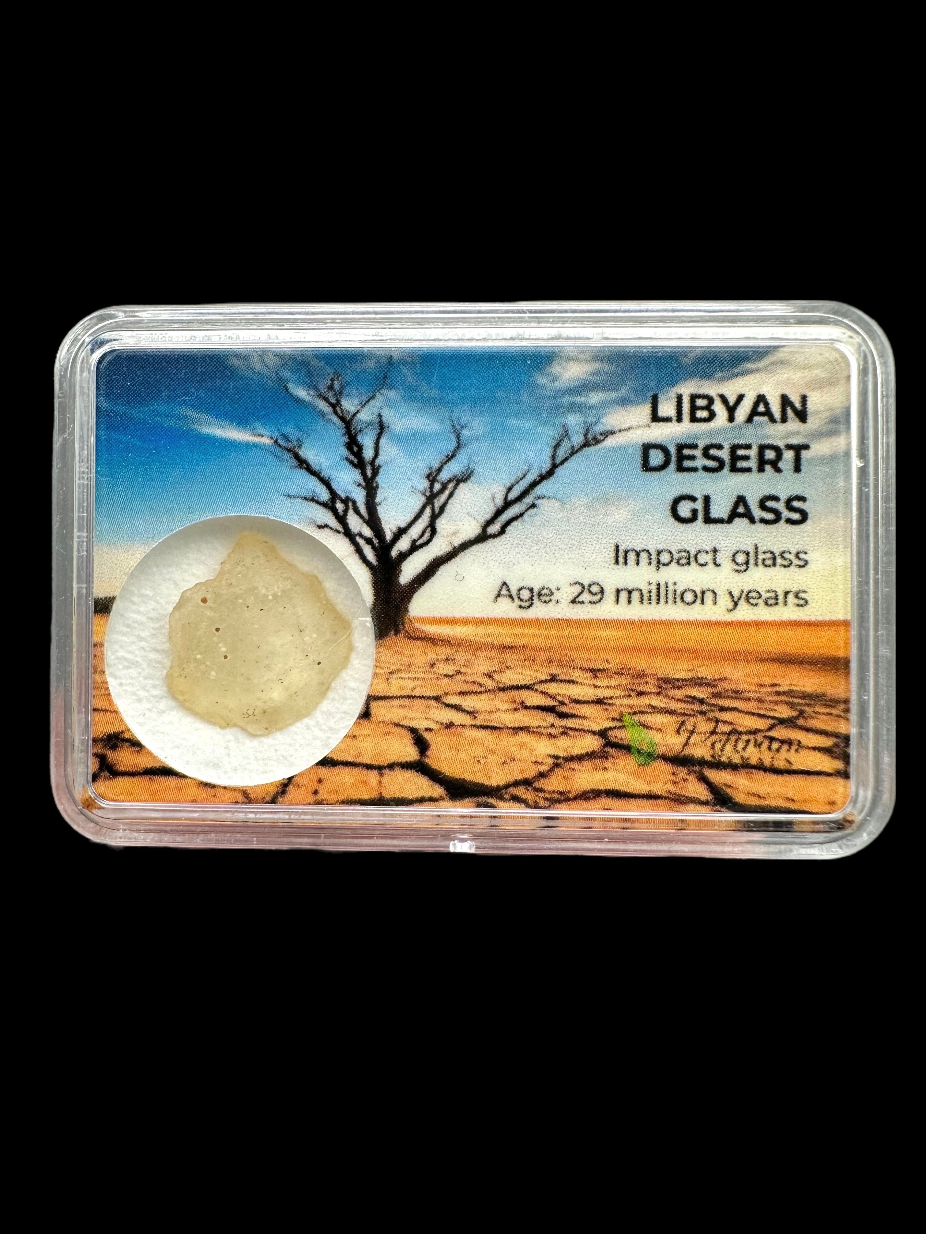 Libyan desert glass in box