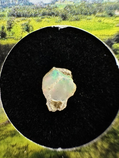 Opale Prezioso in box – Welo, Ethiopia – OP168